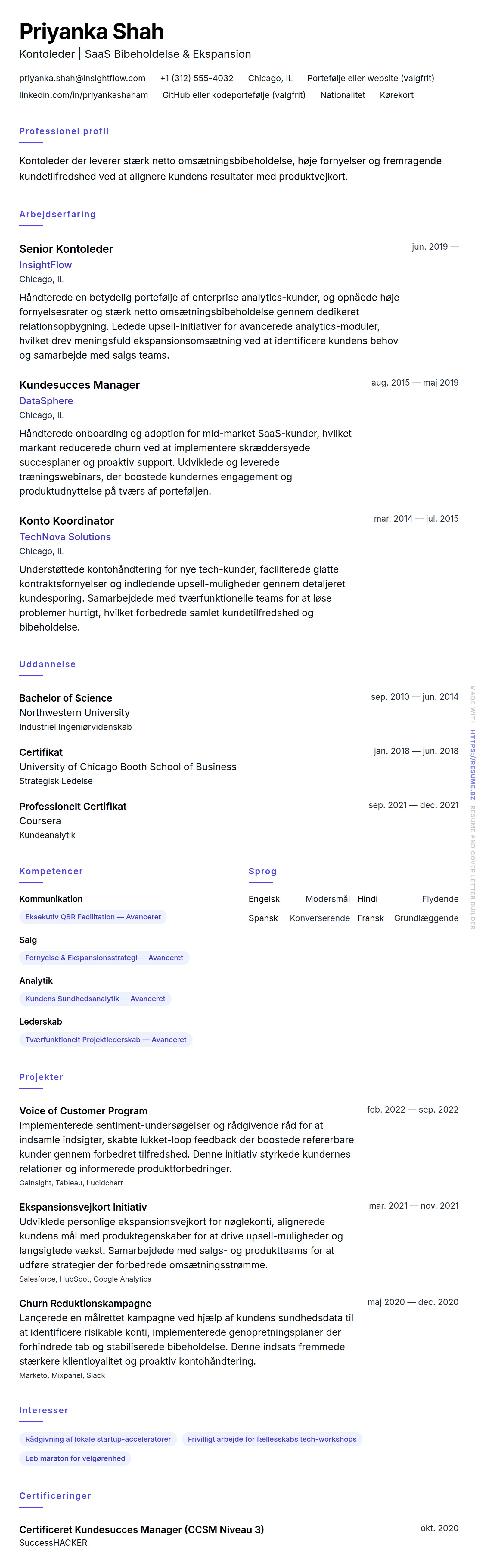 CV-forhåndsvisning for Kontoleder CV Eksempel