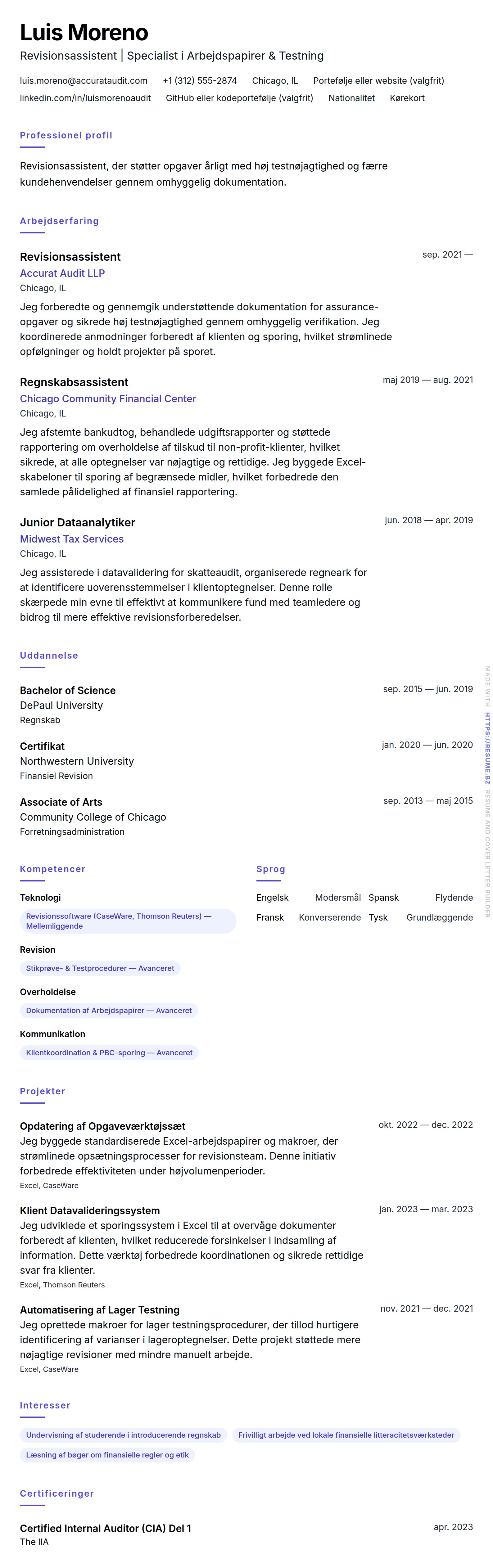 CV-forhåndsvisning for Eksempel på CV for Revisionsassistent