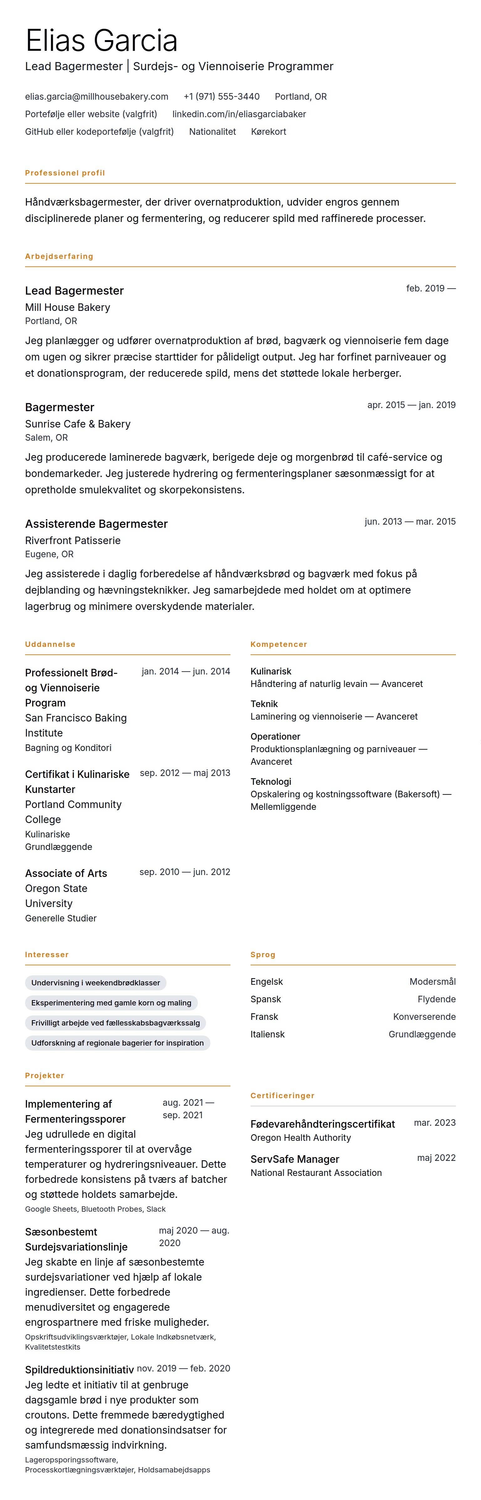 Bagermester CV Eksempel