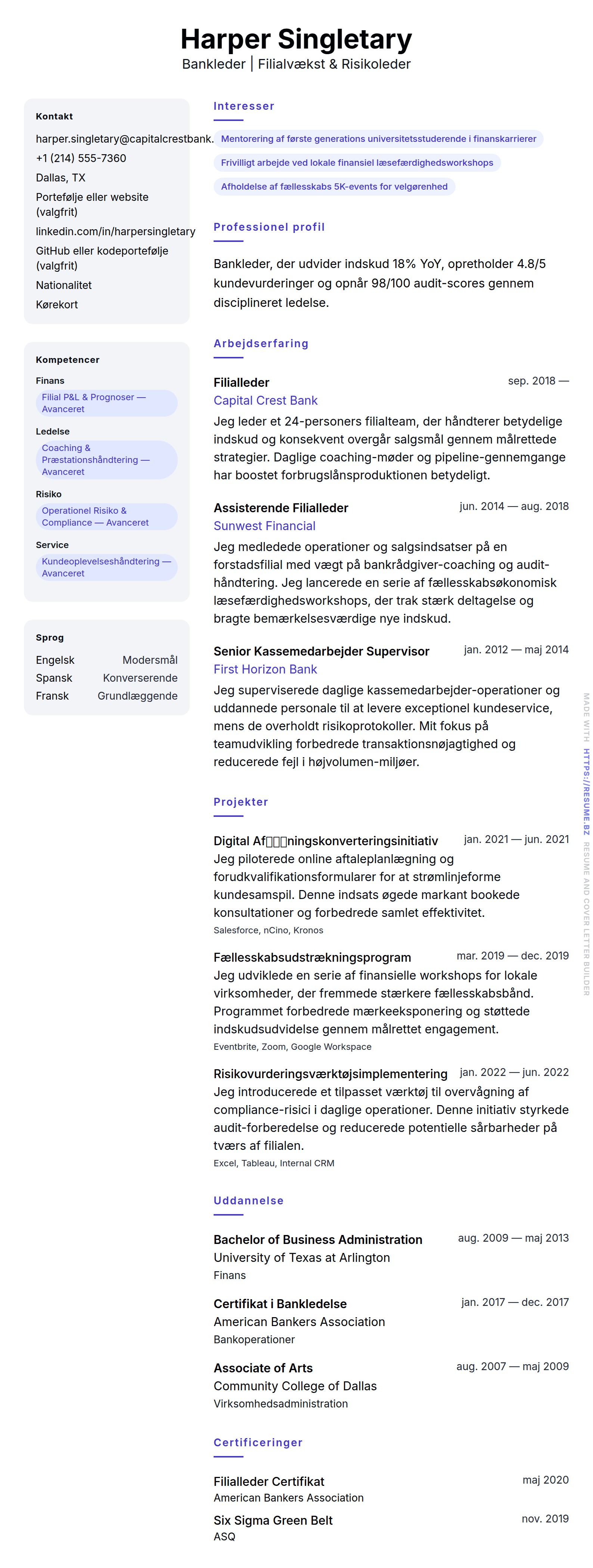 Bankleder CV Eksempel