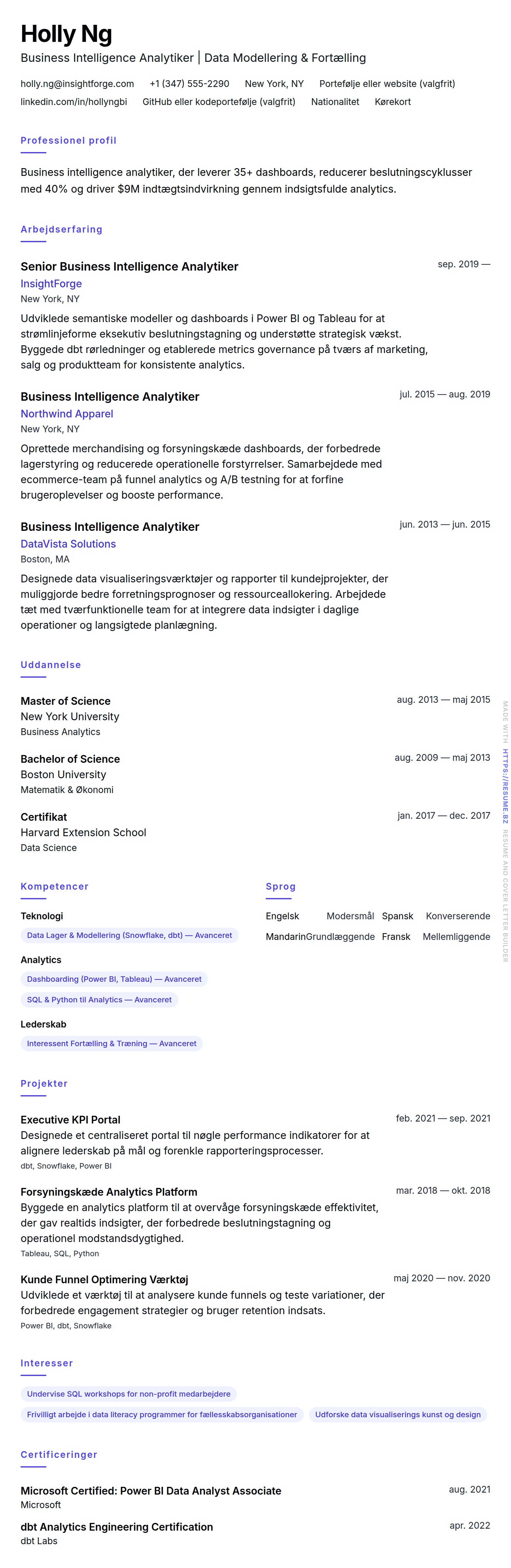 CV-forhåndsvisning for Business Intelligence Analytiker CV Eksempel