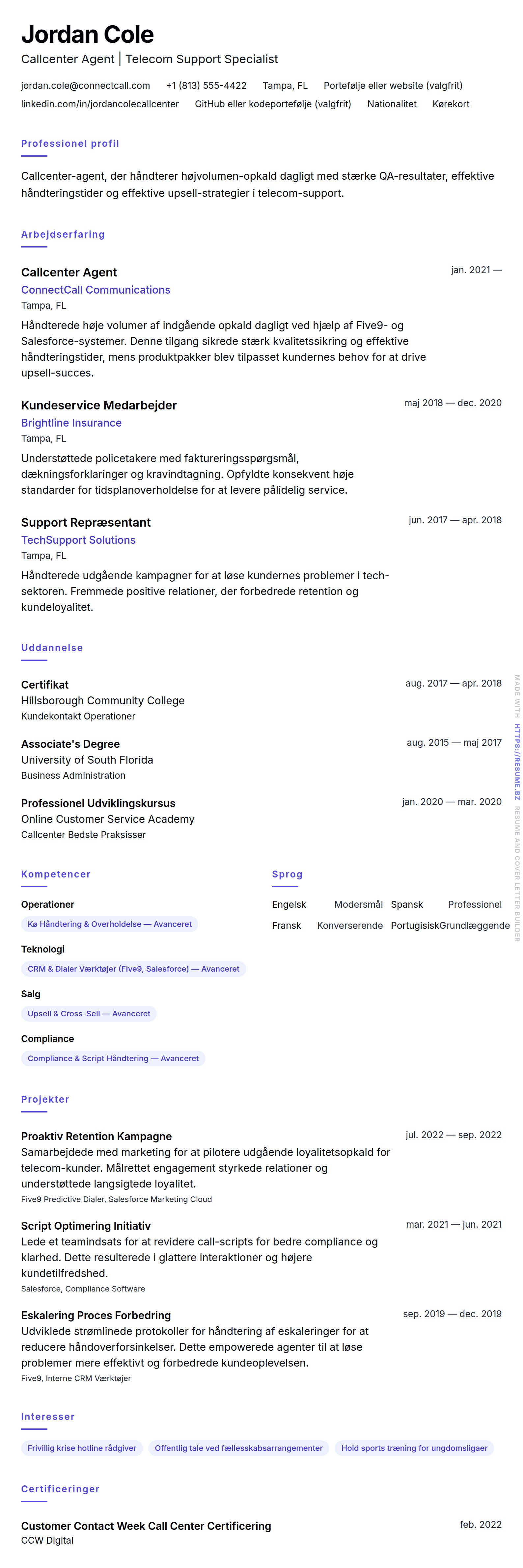 CV-forhåndsvisning for Callcenter Agent CV Eksempel