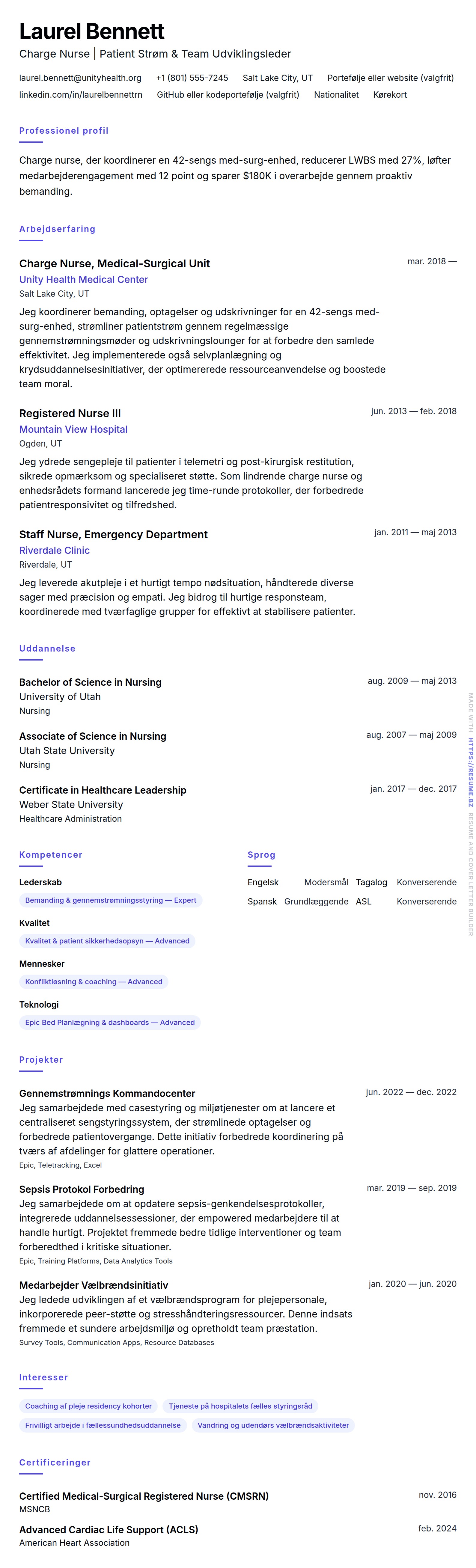 CV-forhåndsvisning for Charge Nurse CV Eksempel