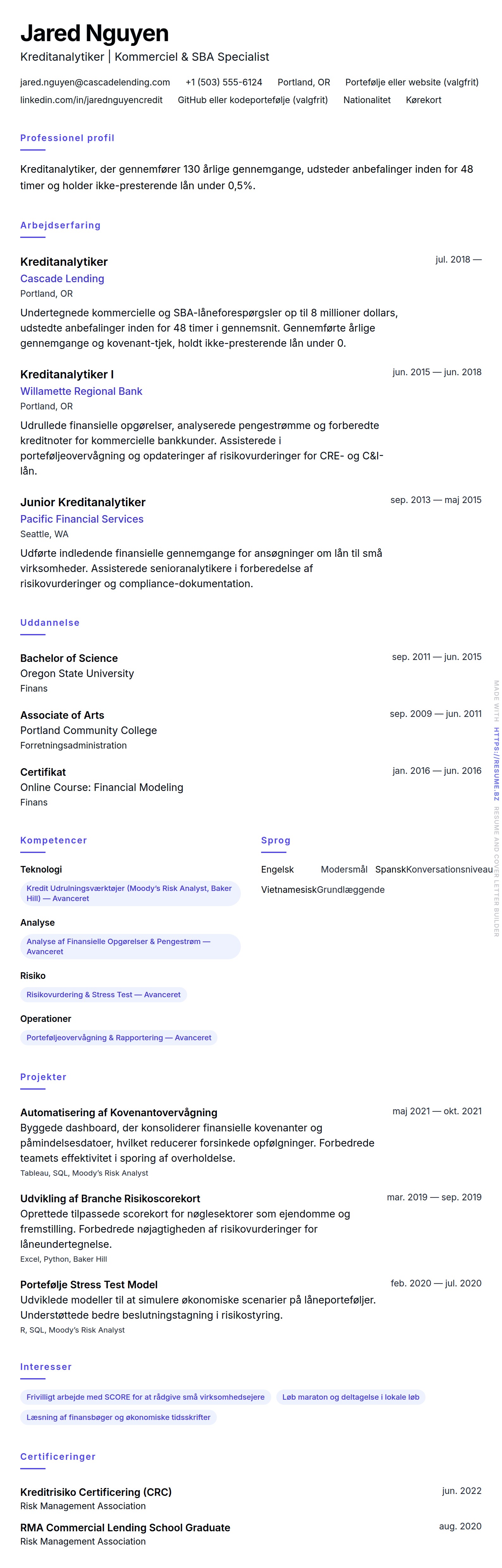 CV-forhåndsvisning for Eksempel på CV for Kreditanalytiker