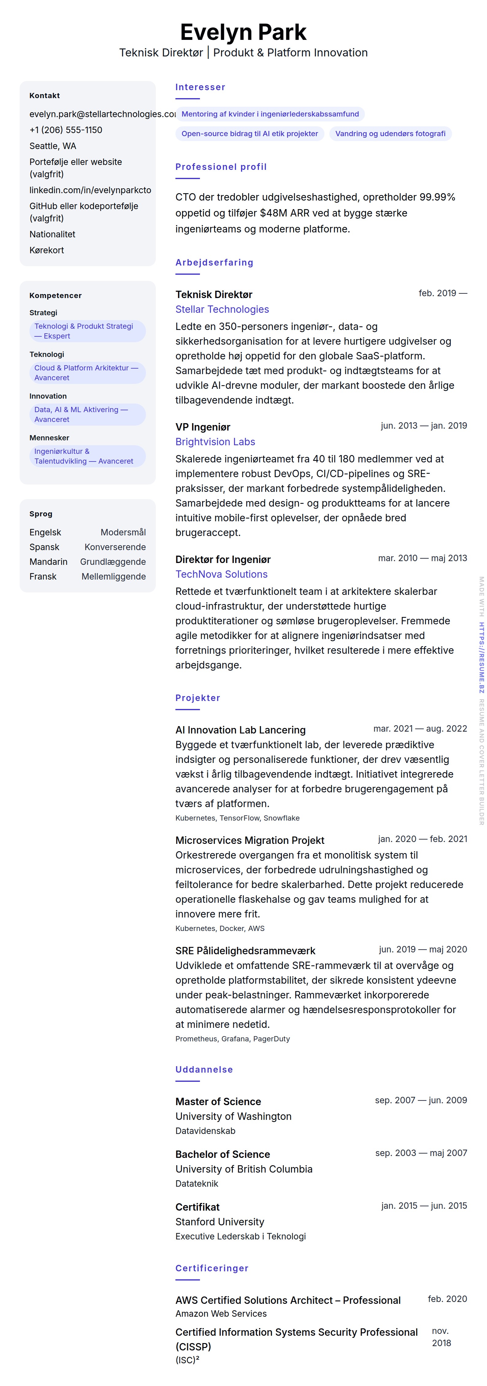 Teknisk Direktør CV Eksempel