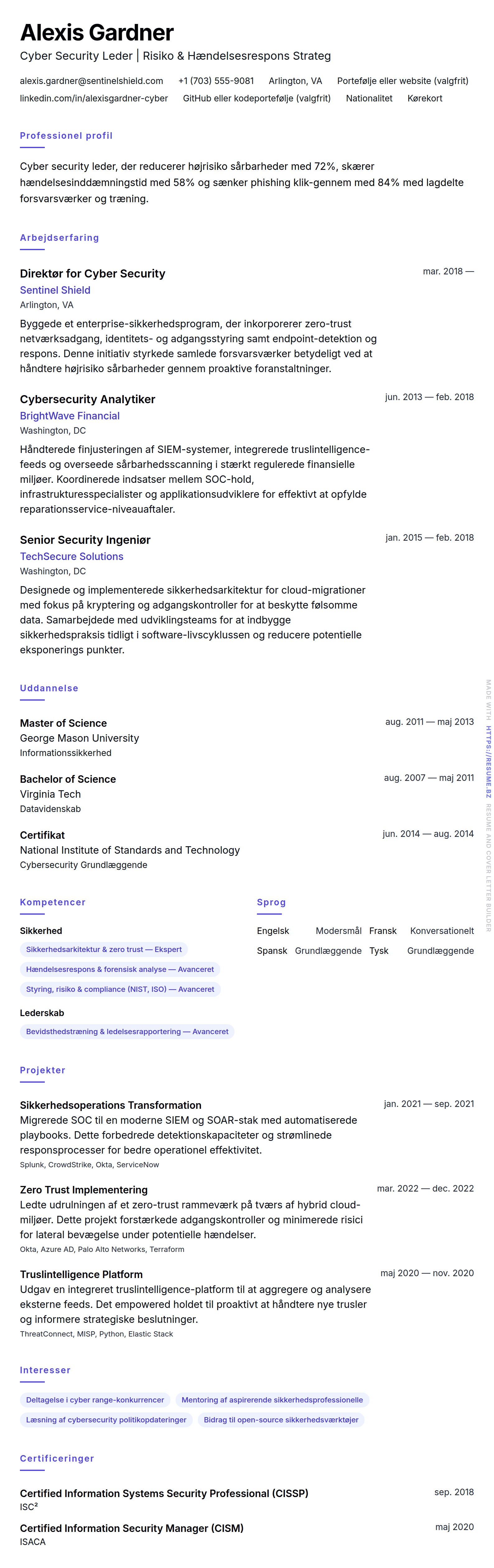 CV-forhåndsvisning for Cyber Security Professionel CV Eksempel