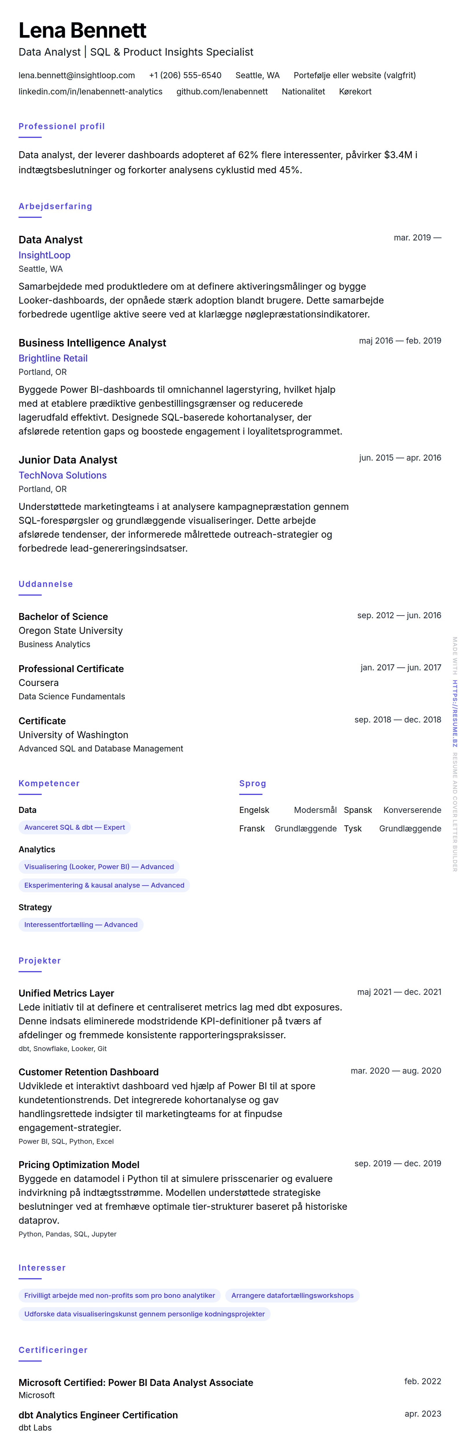CV-forhåndsvisning for Data Analyst CV Eksempel