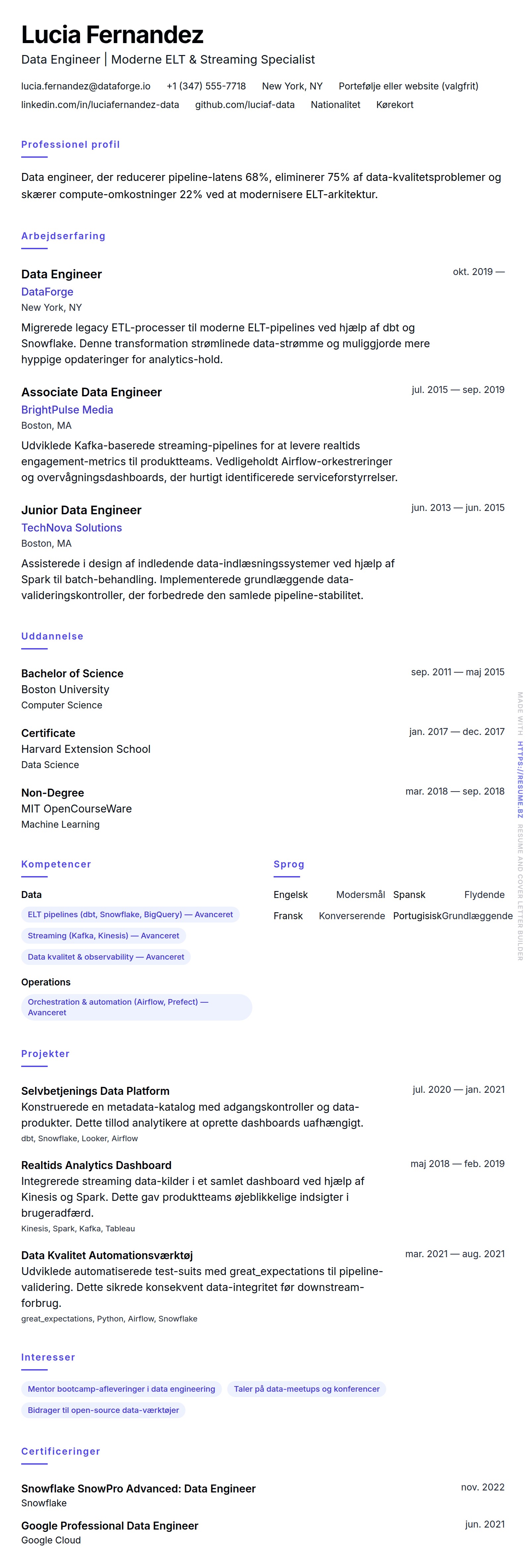 CV-forhåndsvisning for Data Engineer CV Eksempel