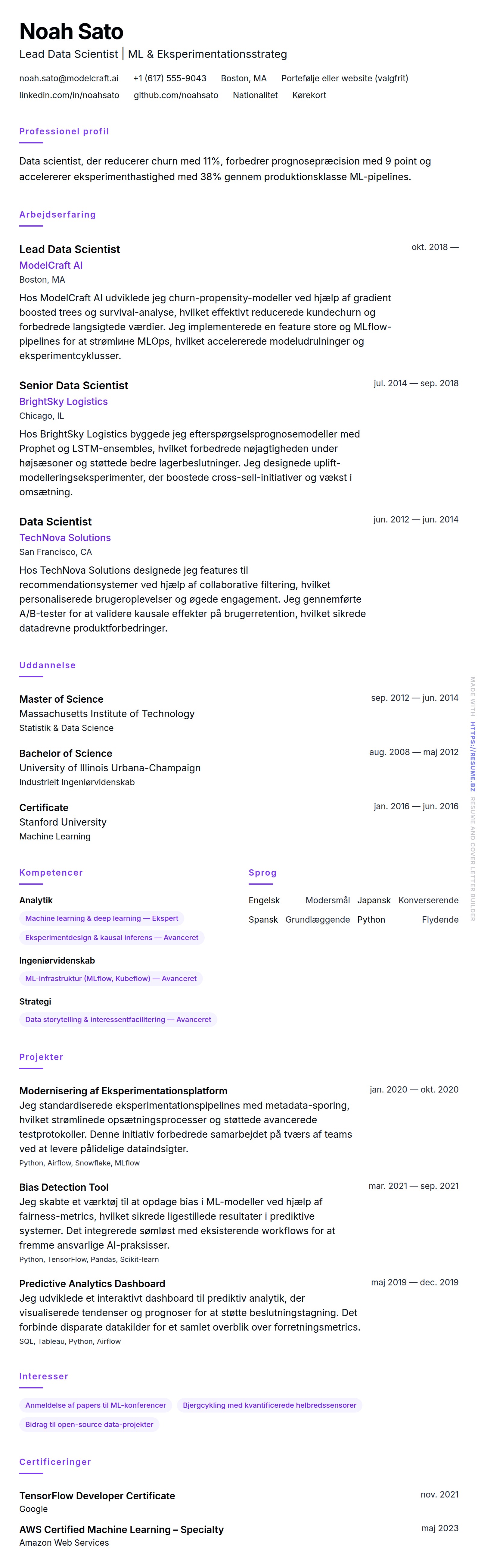 CV-forhåndsvisning for Data Scientist CV Eksempel