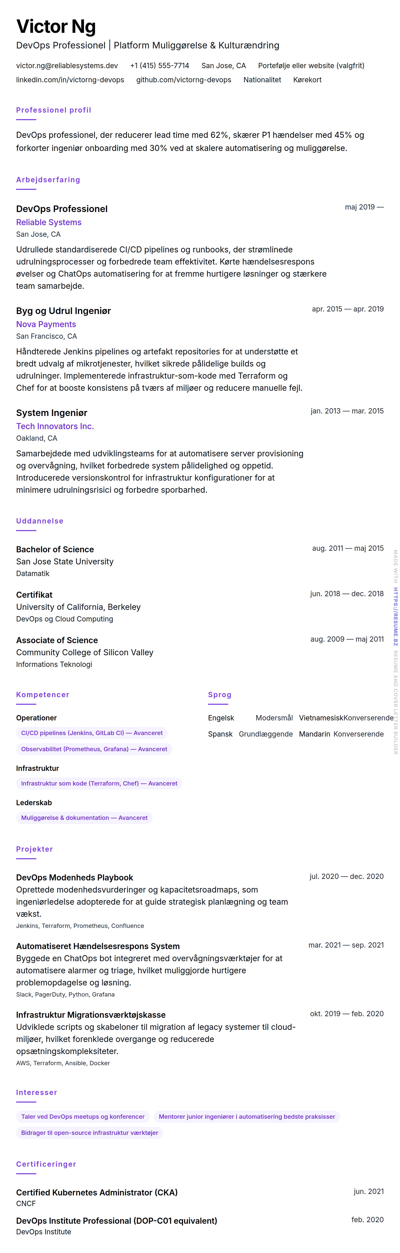 CV-forhåndsvisning for DevOps Professionel CV Eksempel