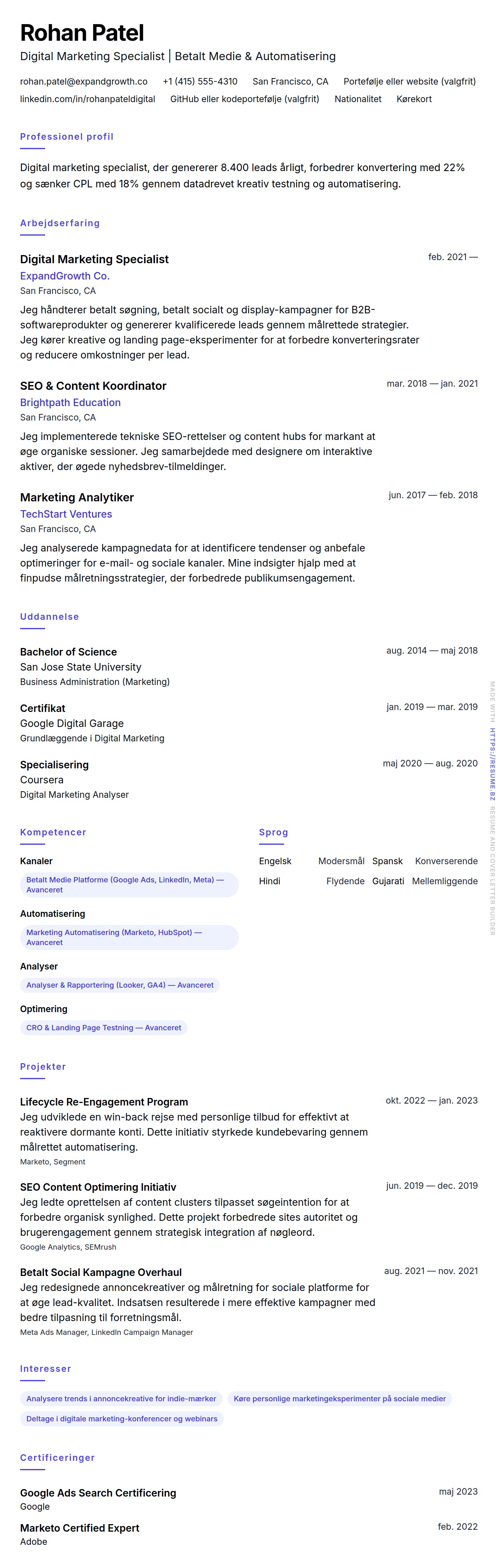 CV-forhåndsvisning for Digital Marketing Specialist CV Eksempel