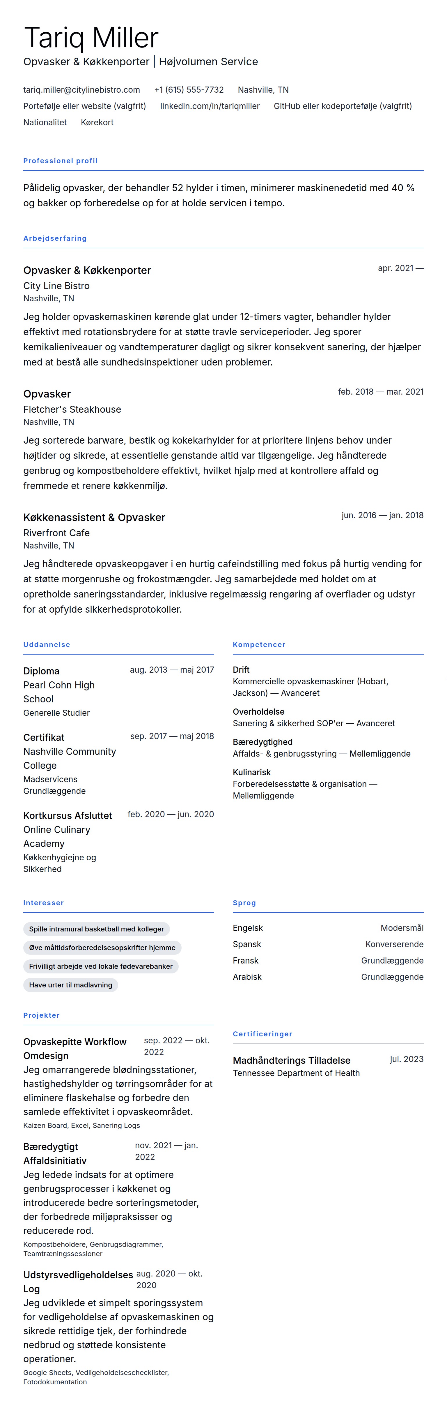 CV-forhåndsvisning for Opvasker CV Eksempel