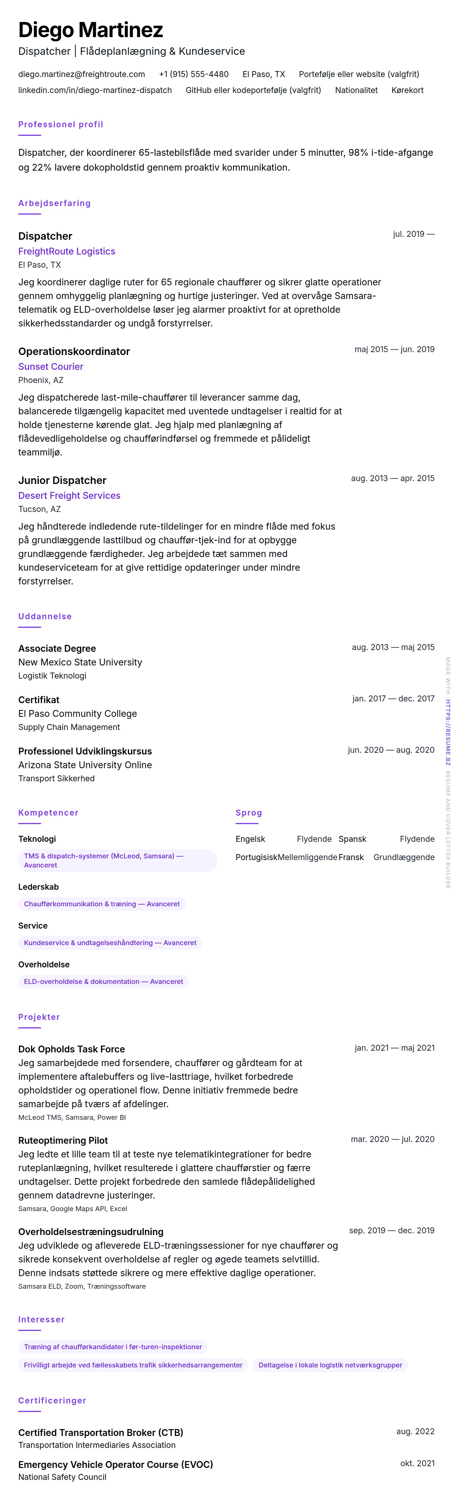 CV-forhåndsvisning for Dispatcher CV Eksempel
