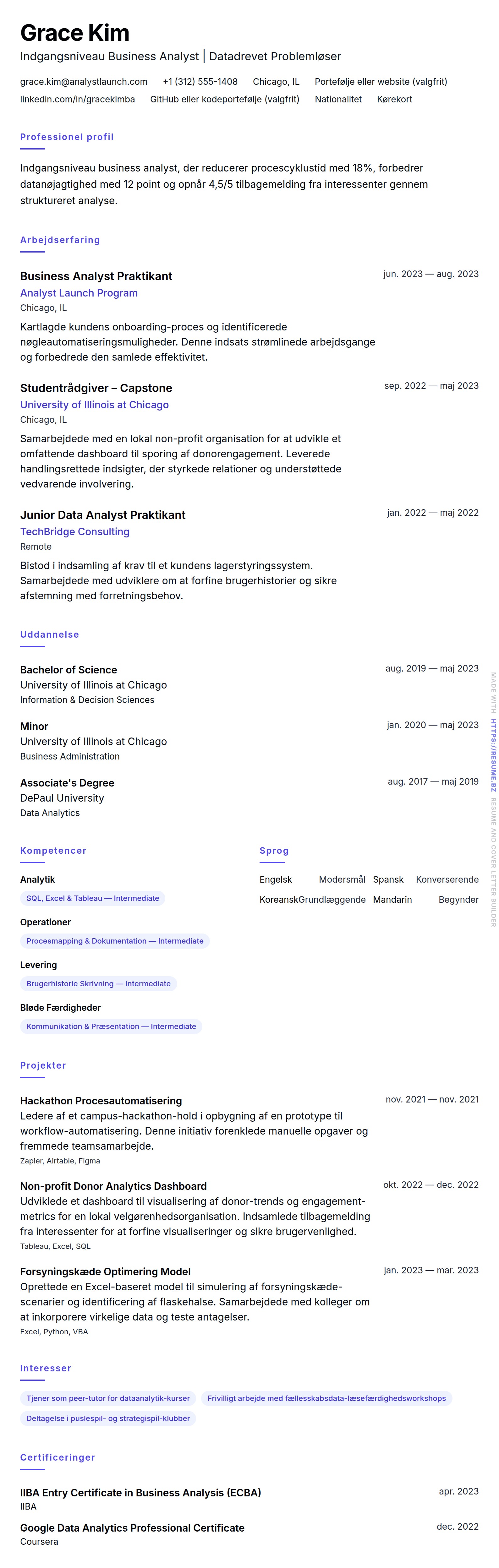 CV-forhåndsvisning for Indgangsniveau Business Analyst CV Eksempel