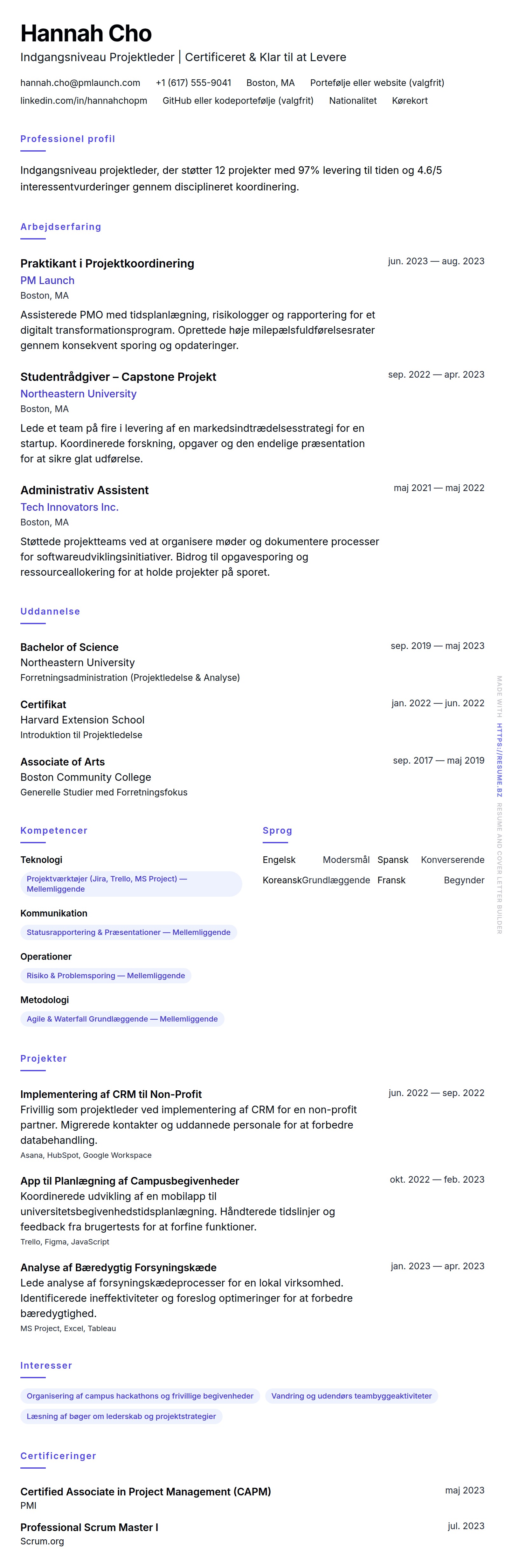 CV-forhåndsvisning for Eksempel på CV for Indgangsniveau Projektleder