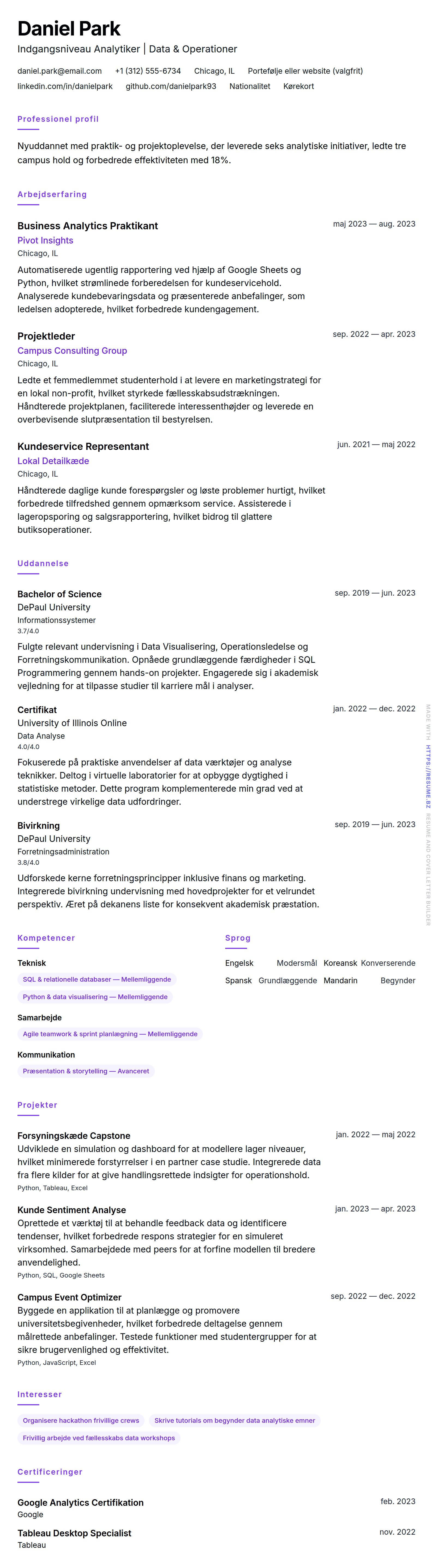Indgangsniveau CV Eksempel
