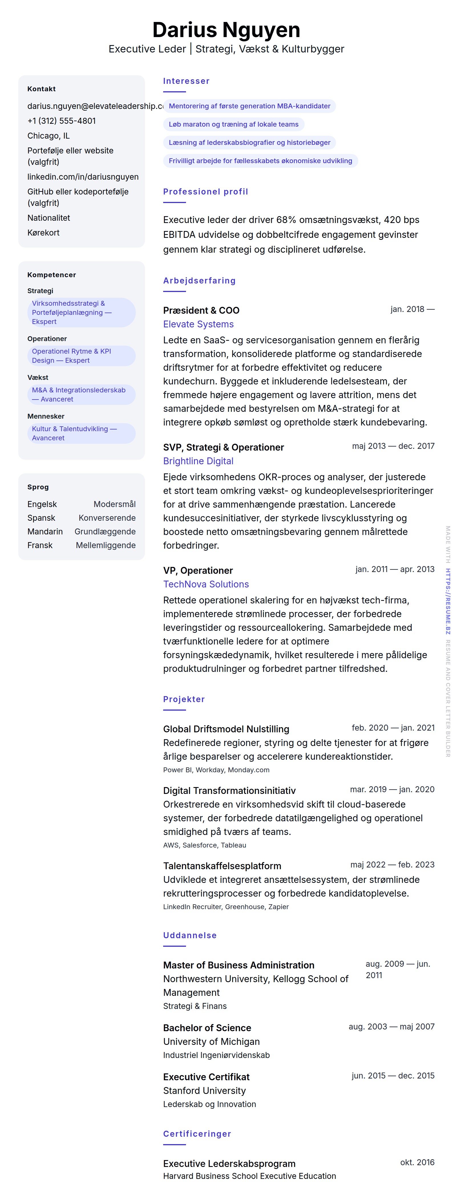 CV-forhåndsvisning for Executive Leder CV Eksempel