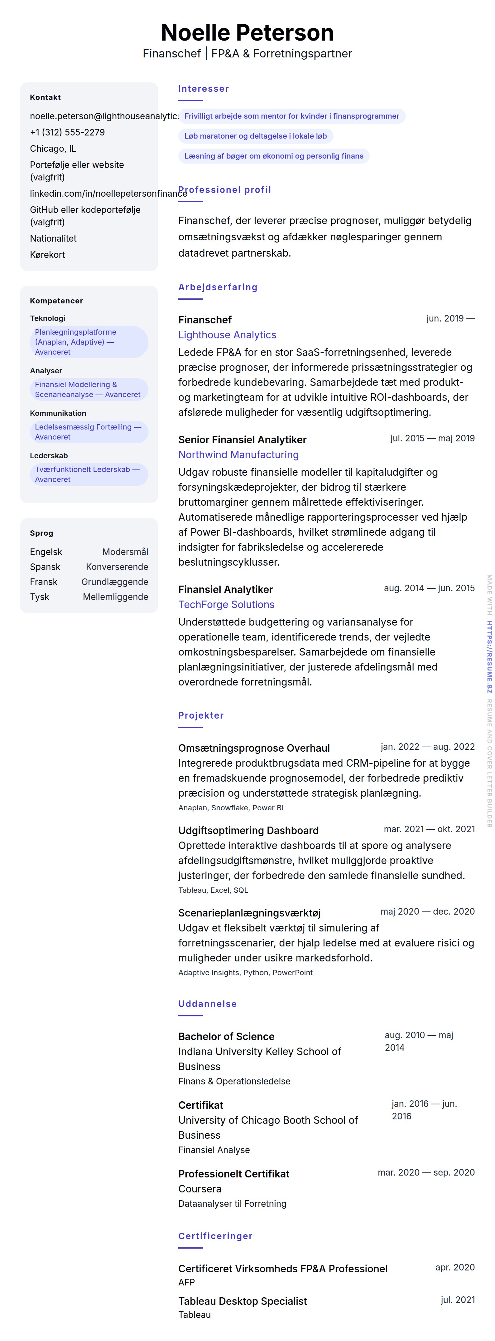 CV-forhåndsvisning for Finanschef CV Eksempel