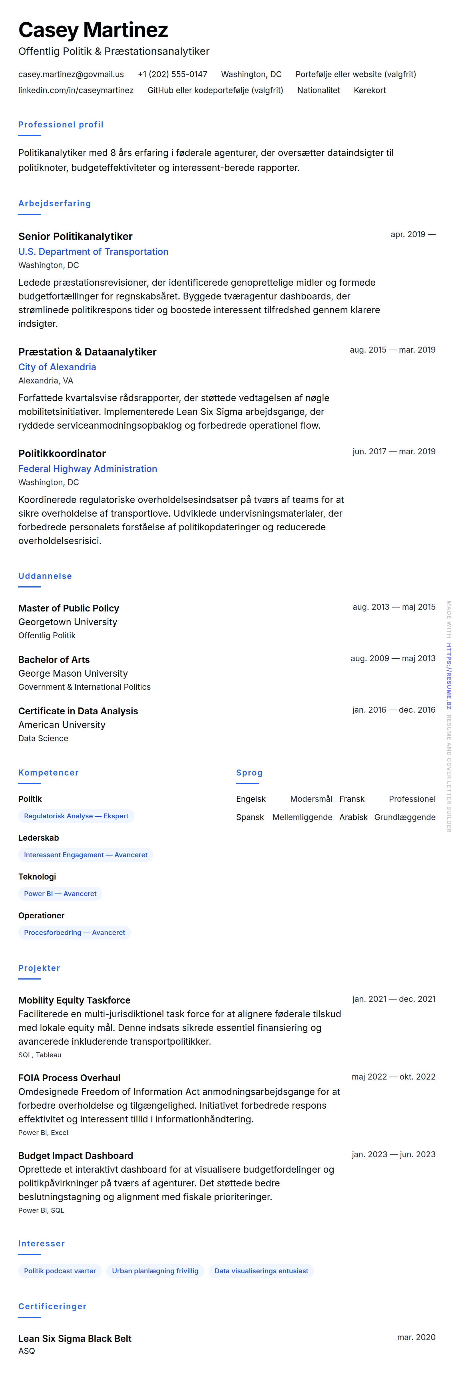 Government Analyst CV Eksempel