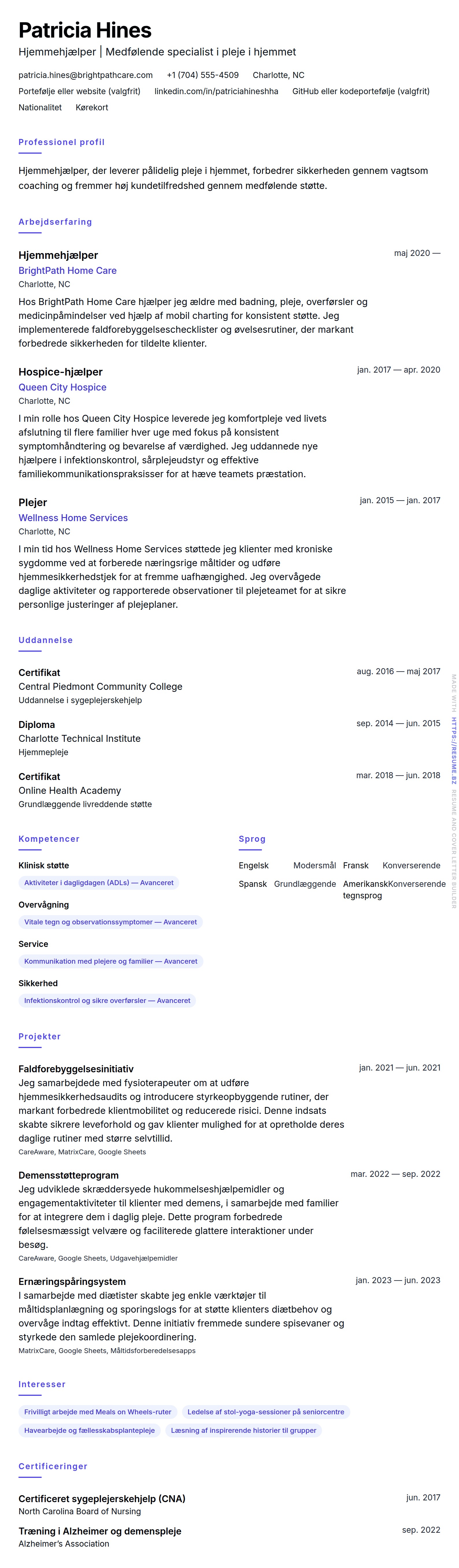 CV-forhåndsvisning for Hjemmehjælper CV Eksempel