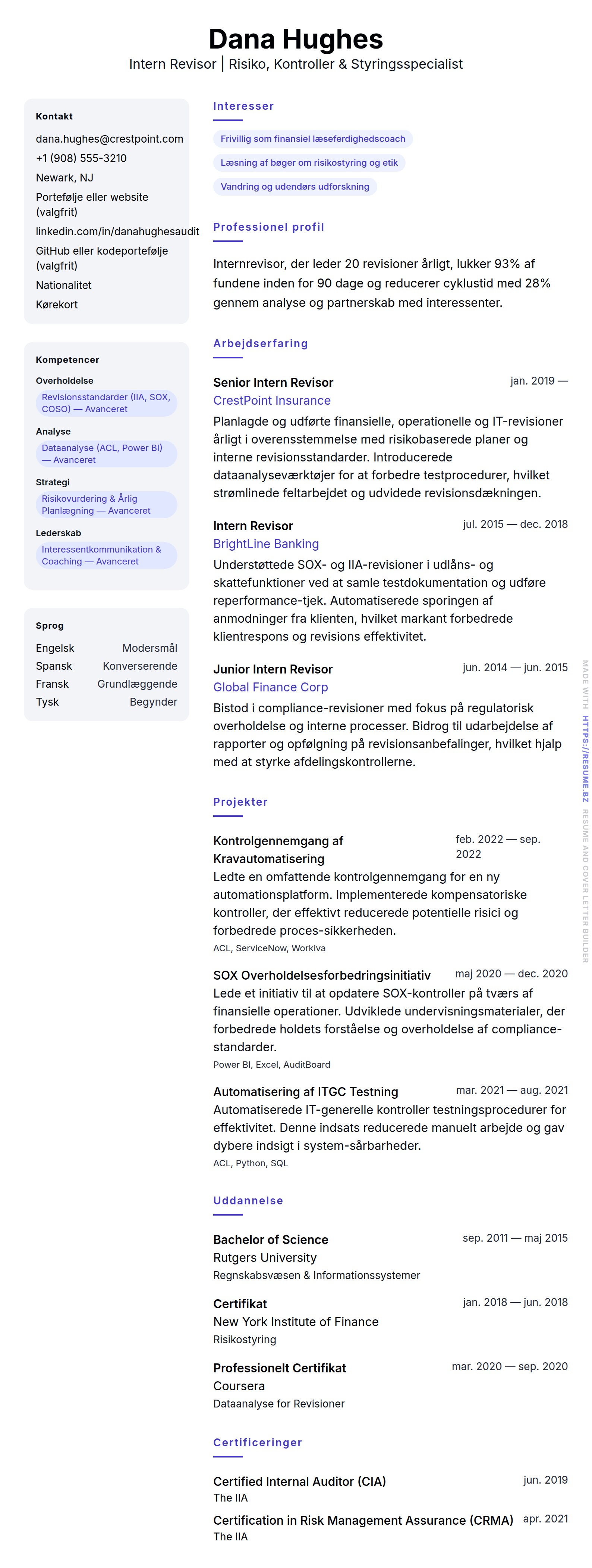 Intern Revisor CV Eksempel