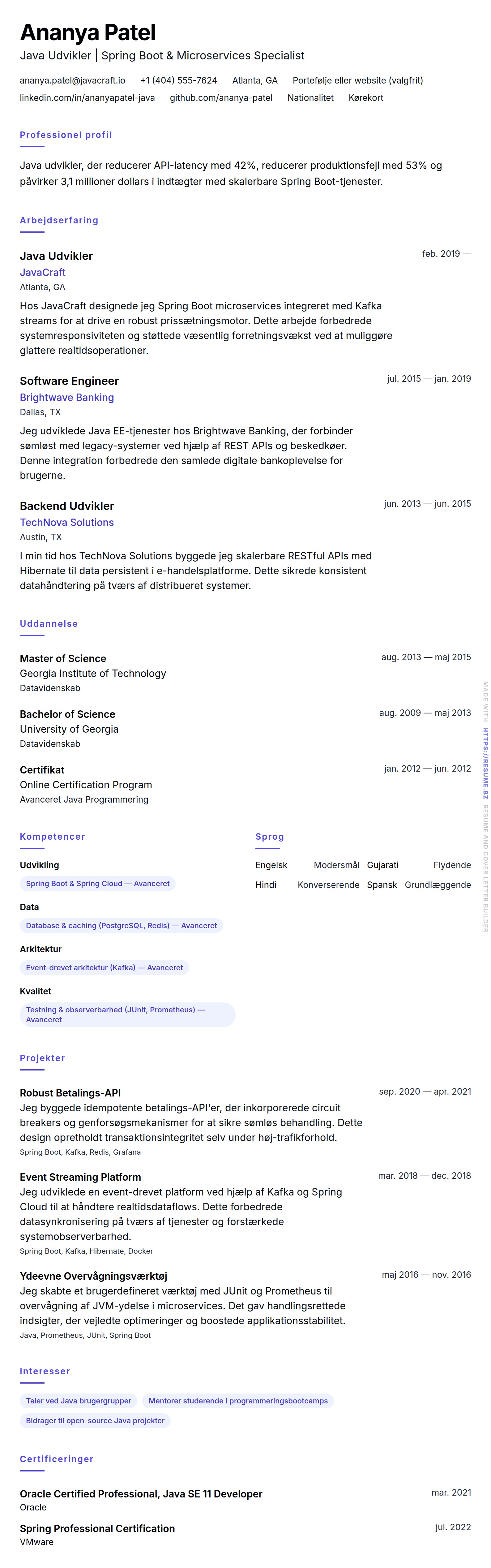 CV-forhåndsvisning for Java Udvikler CV Eksempel