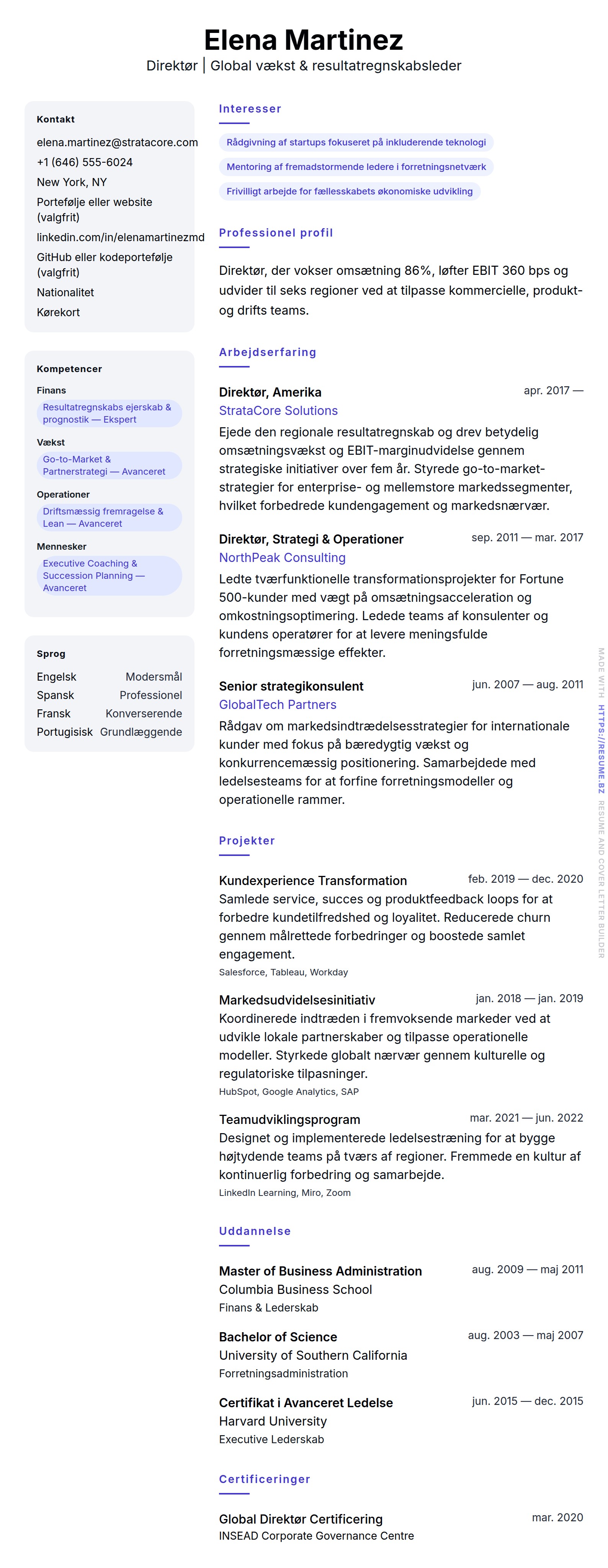 CV-forhåndsvisning for Direktør CV-eksempel