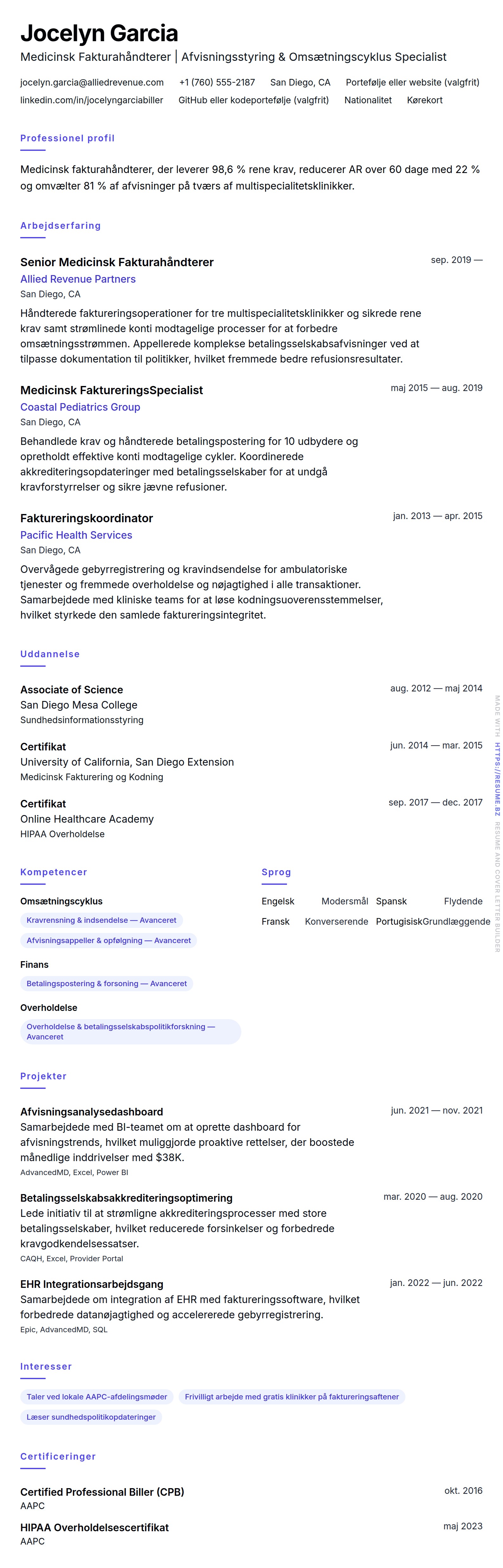 CV-forhåndsvisning for Medicinsk Fakturahåndterer CV Eksempel