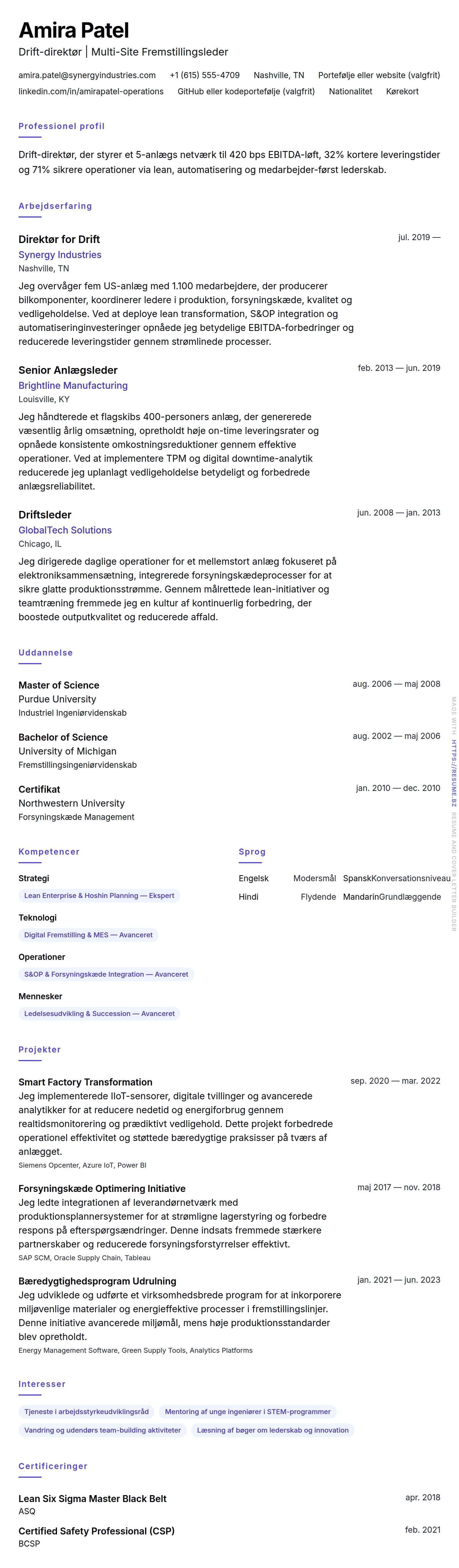 CV-forhåndsvisning for Drift-direktør CV-eksempel