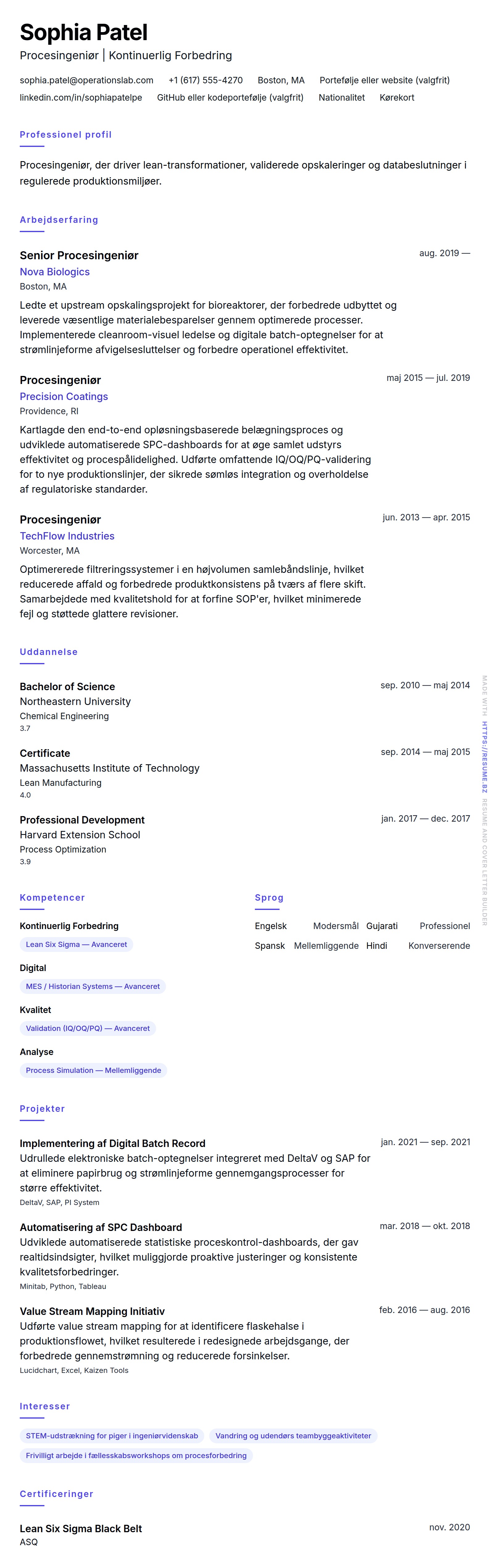 Procesingeniør CV Eksempel