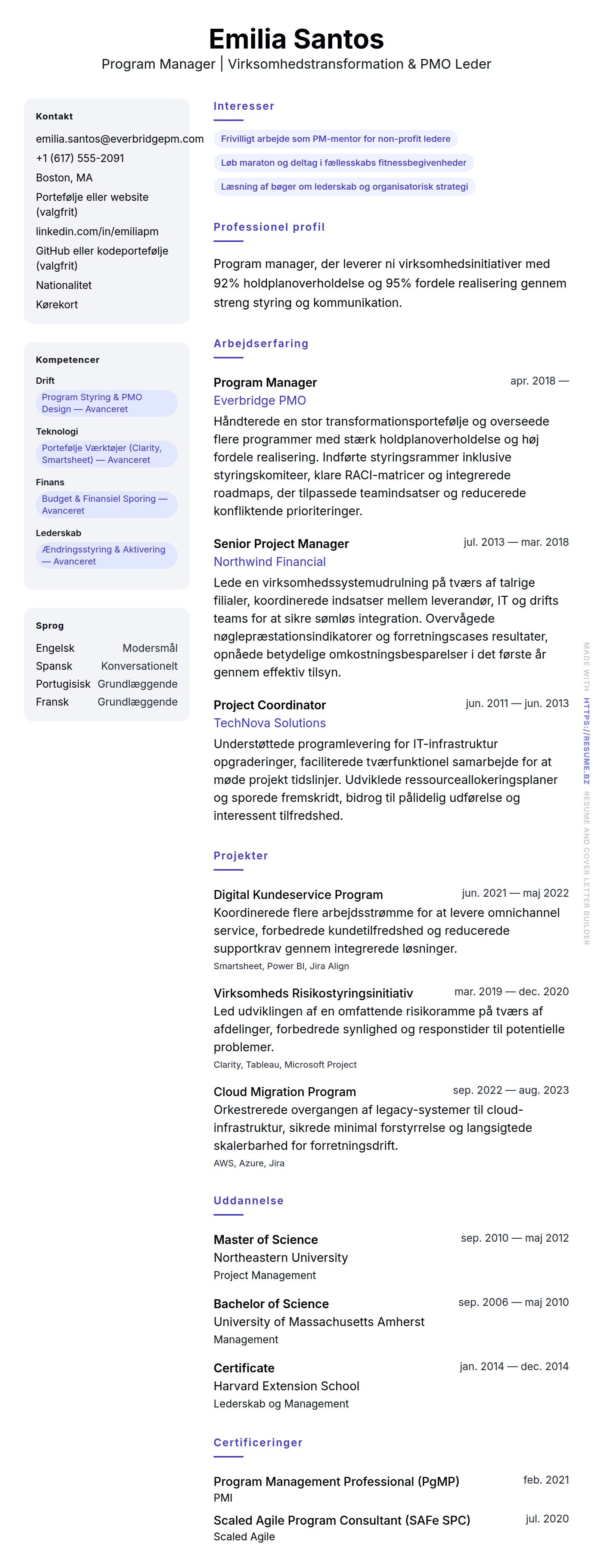 CV-forhåndsvisning for Program Manager CV Eksempel