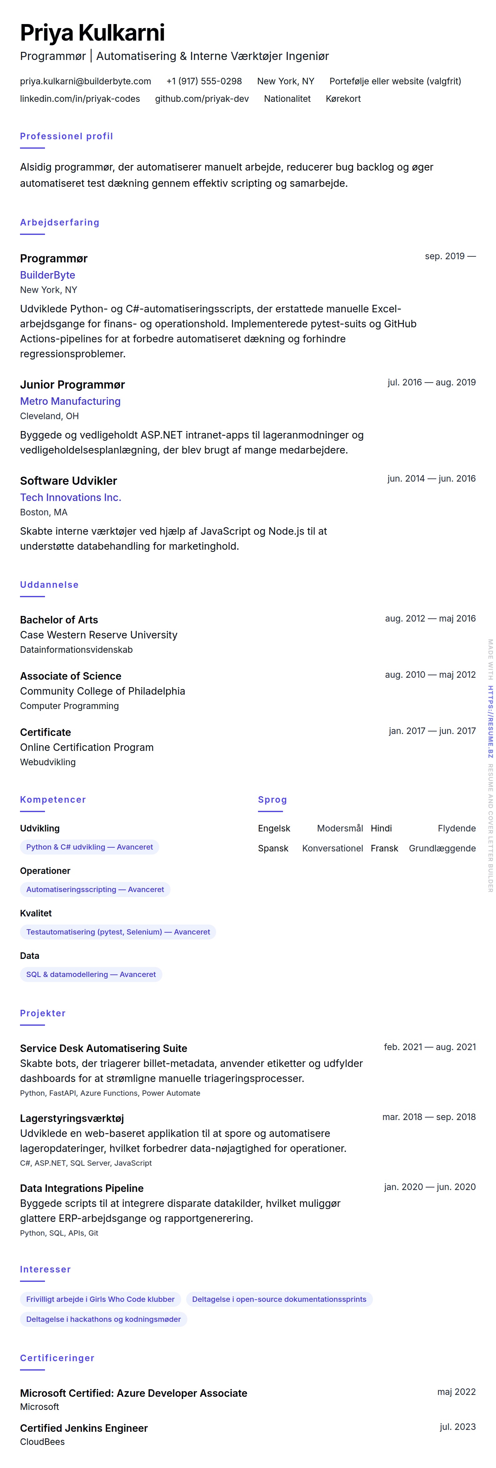 CV-forhåndsvisning for Programmør CV Eksempel