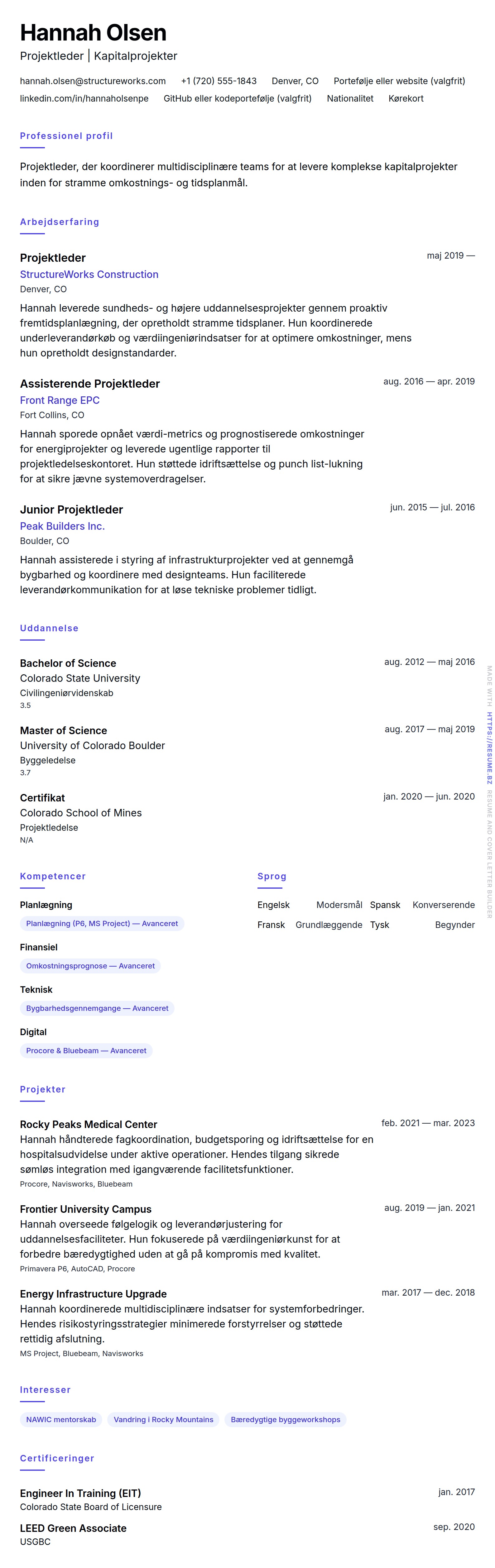 Projektleder CV-eksempel