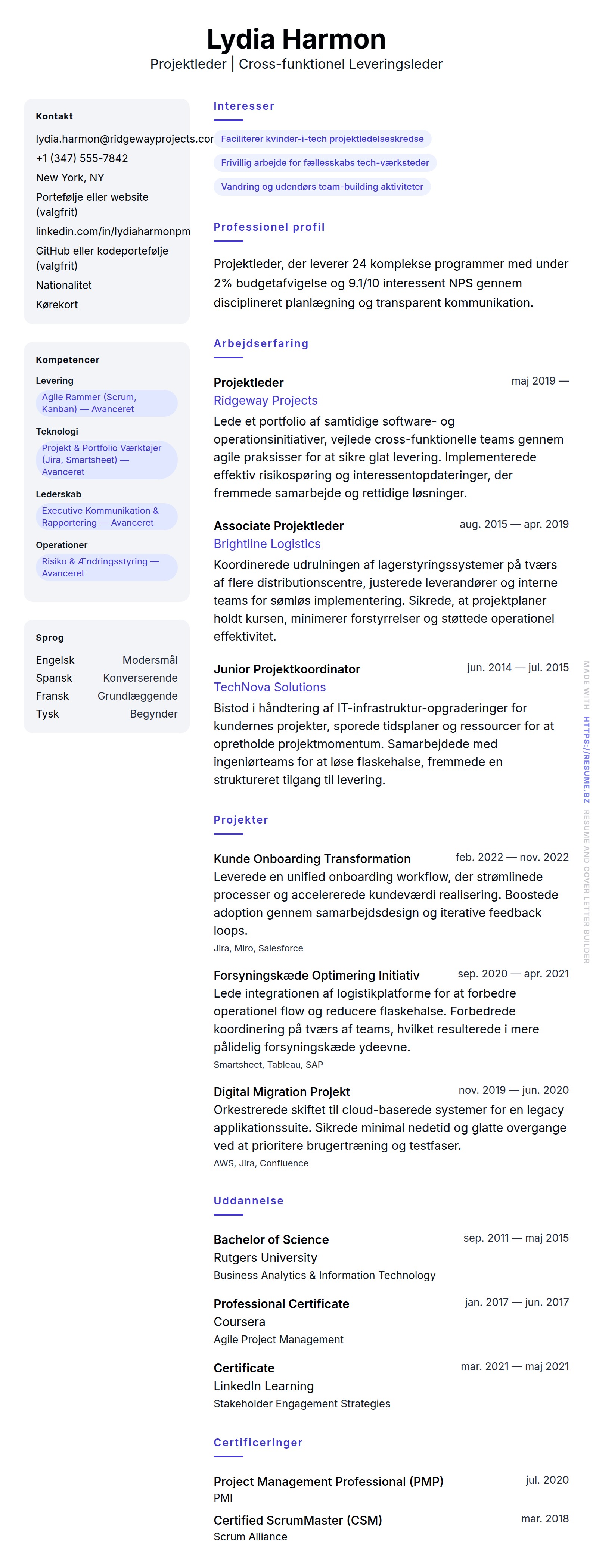 CV-forhåndsvisning for Projektleder CV-eksempel