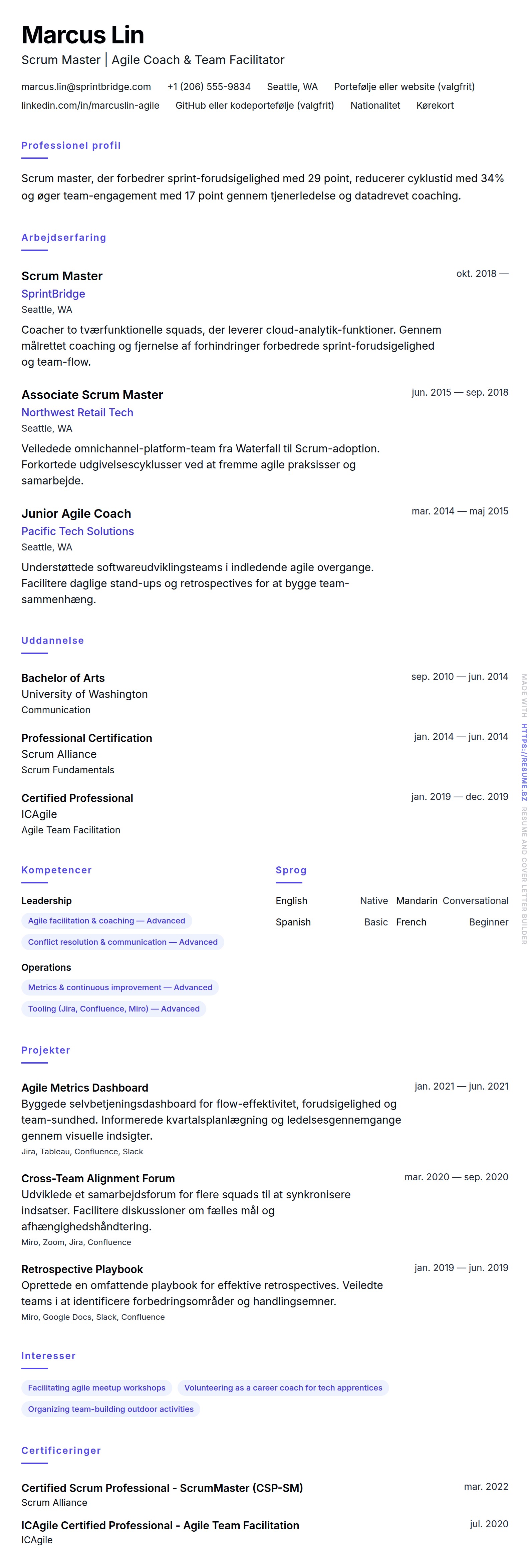 CV-forhåndsvisning for Scrum Master CV-eksempel