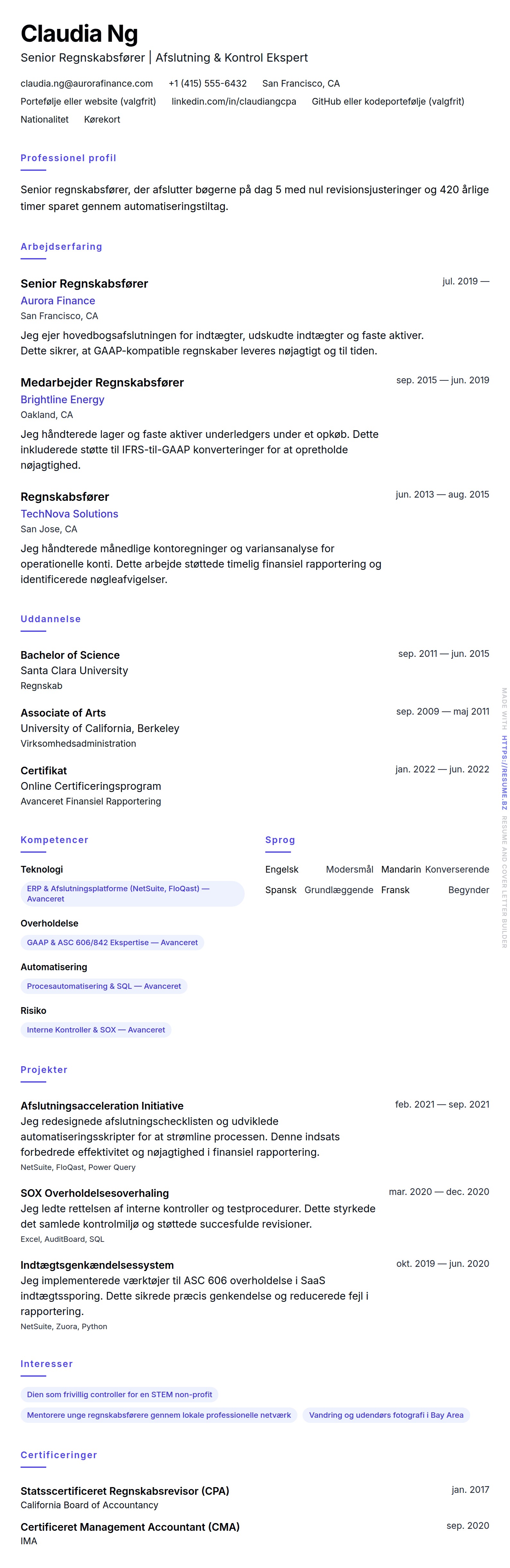 CV-forhåndsvisning for Senior Regnskabsfører CV Eksempel