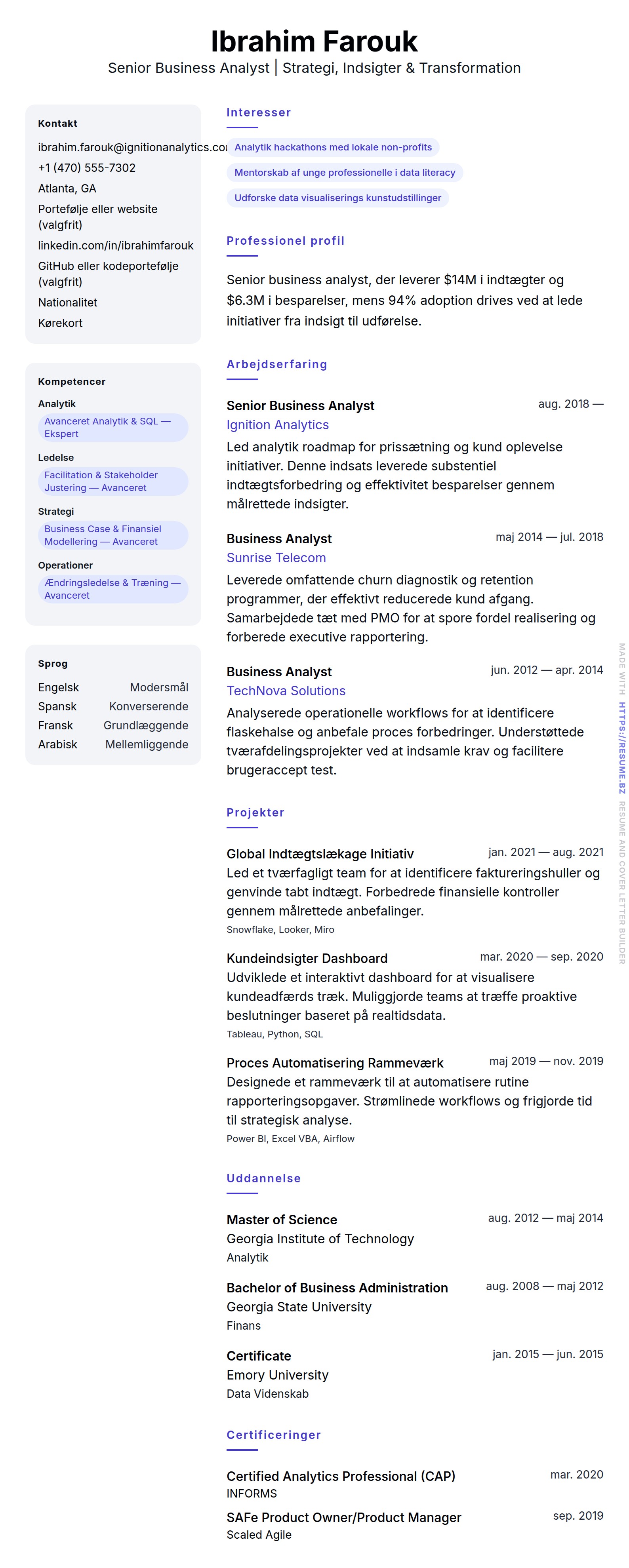 CV-forhåndsvisning for Senior Business Analyst CV Eksempel