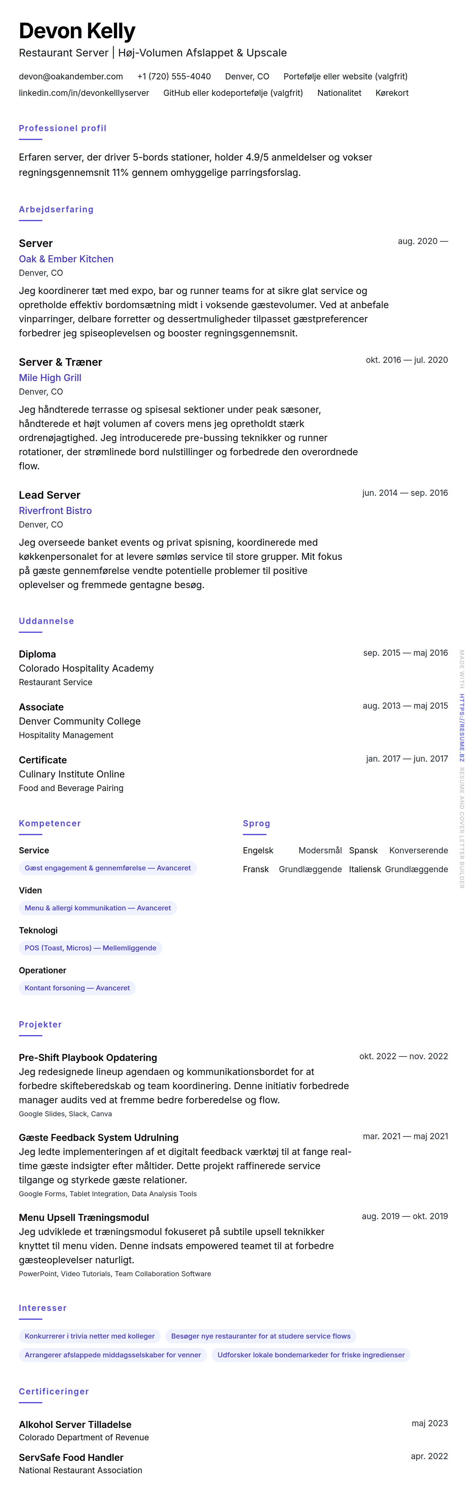 CV-forhåndsvisning for Server CV Eksempel