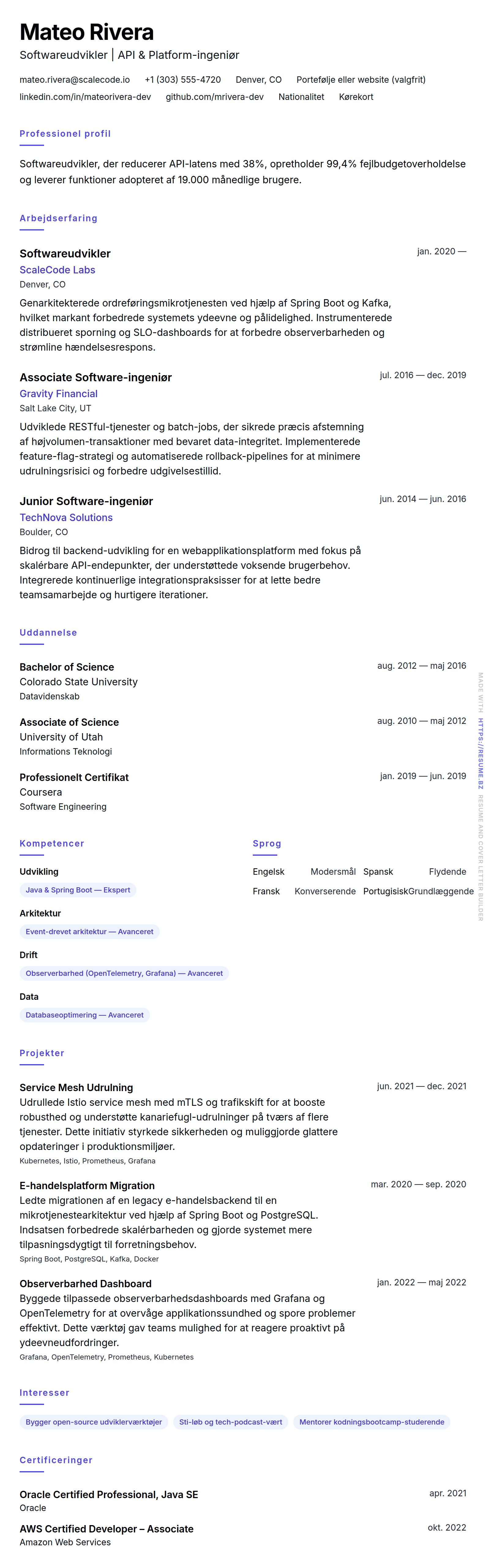 CV-forhåndsvisning for Softwareudvikler CV-eksempel