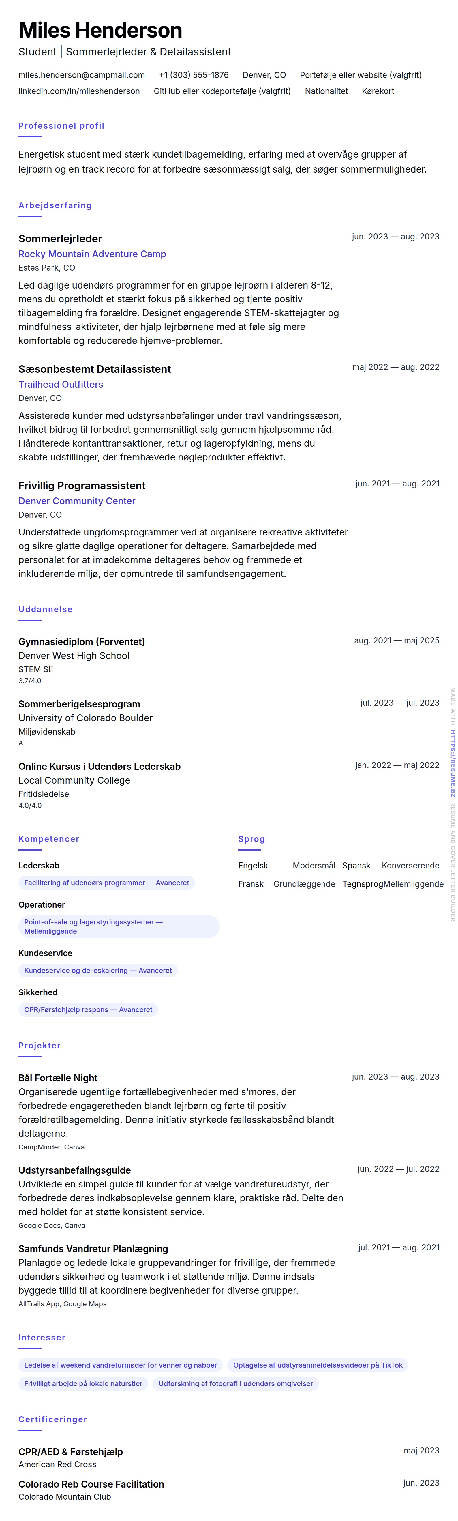 CV-forhåndsvisning for Sommerjob CV Eksempel