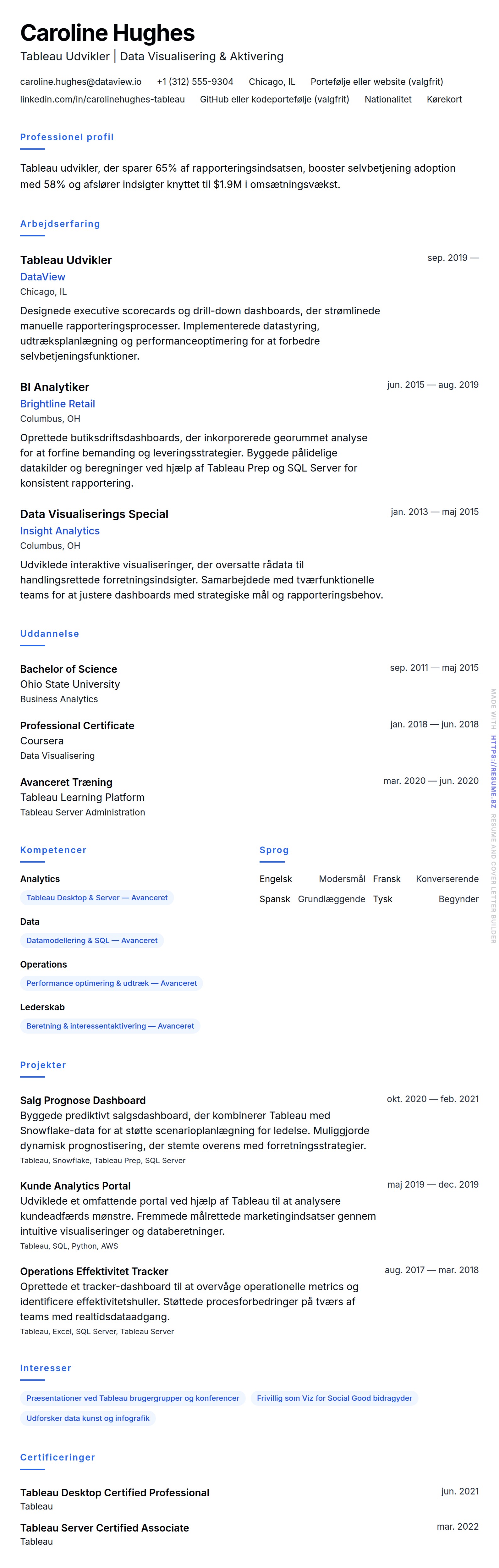 CV-forhåndsvisning for Tableau Udvikler CV Eksempel