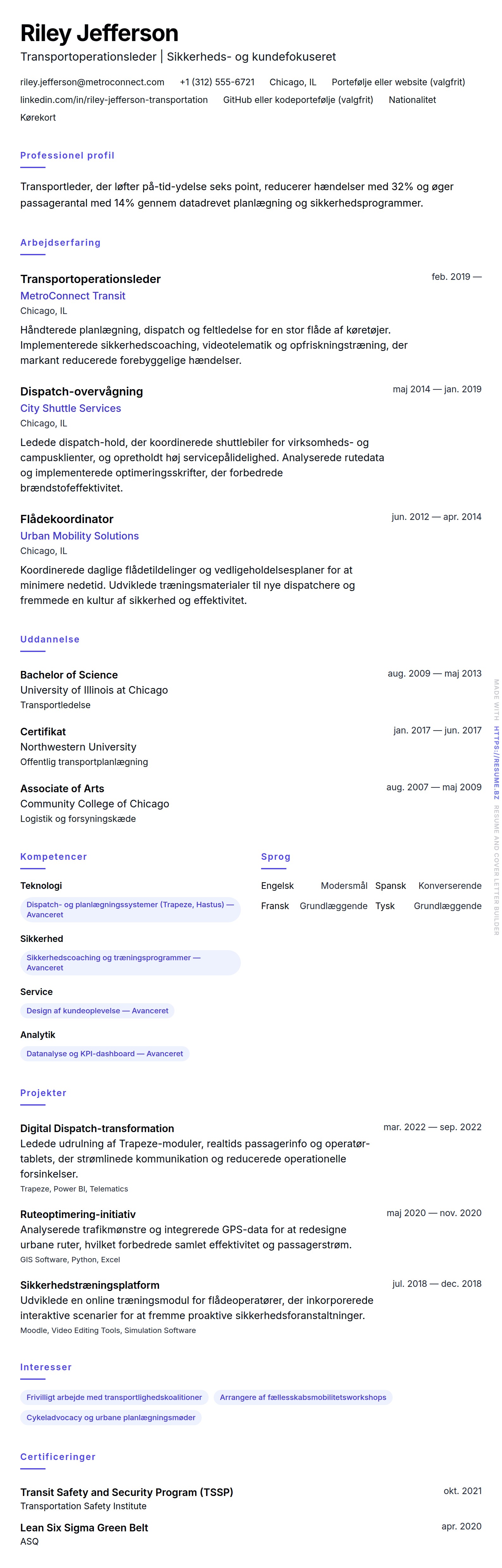 CV-forhåndsvisning for Transportprofessionel CV Eksempel