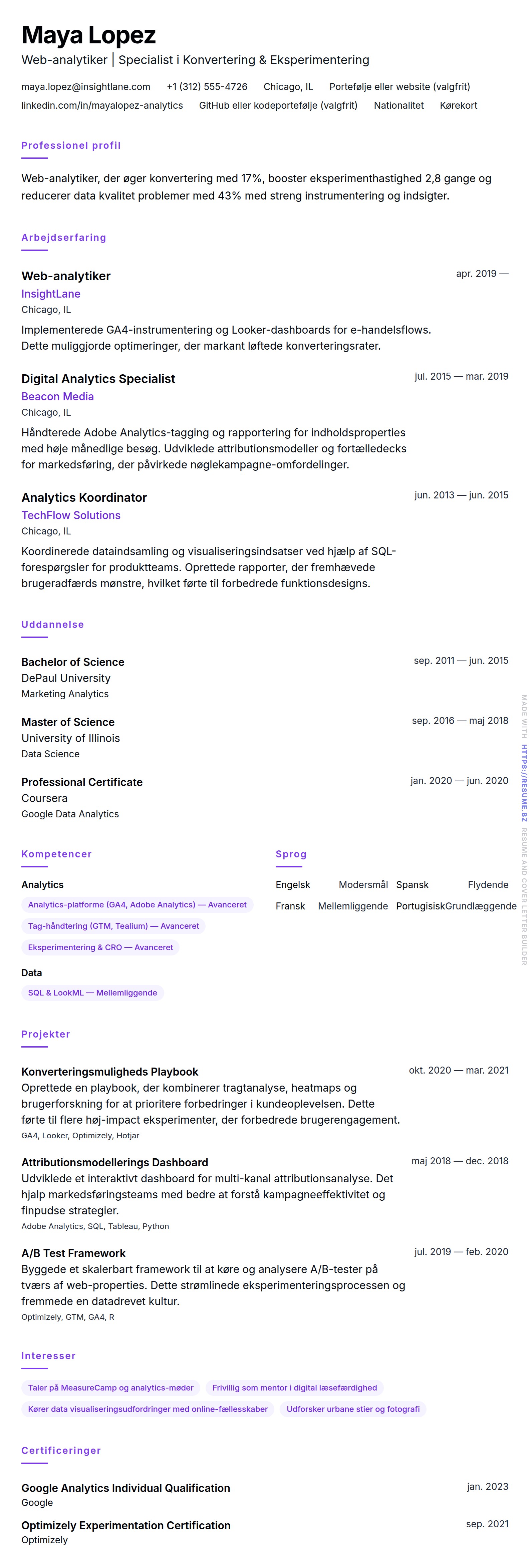 CV-forhåndsvisning for Eksempel på CV for Web-analytiker