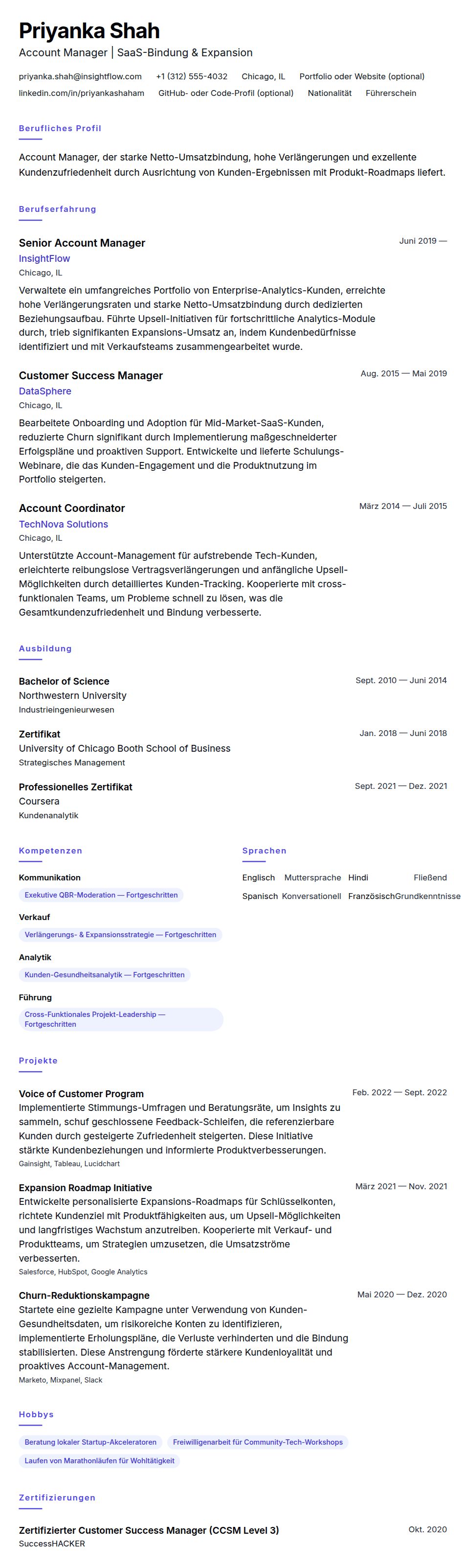 Lebenslaufvorschau für Account Manager Lebenslauf-Beispiel