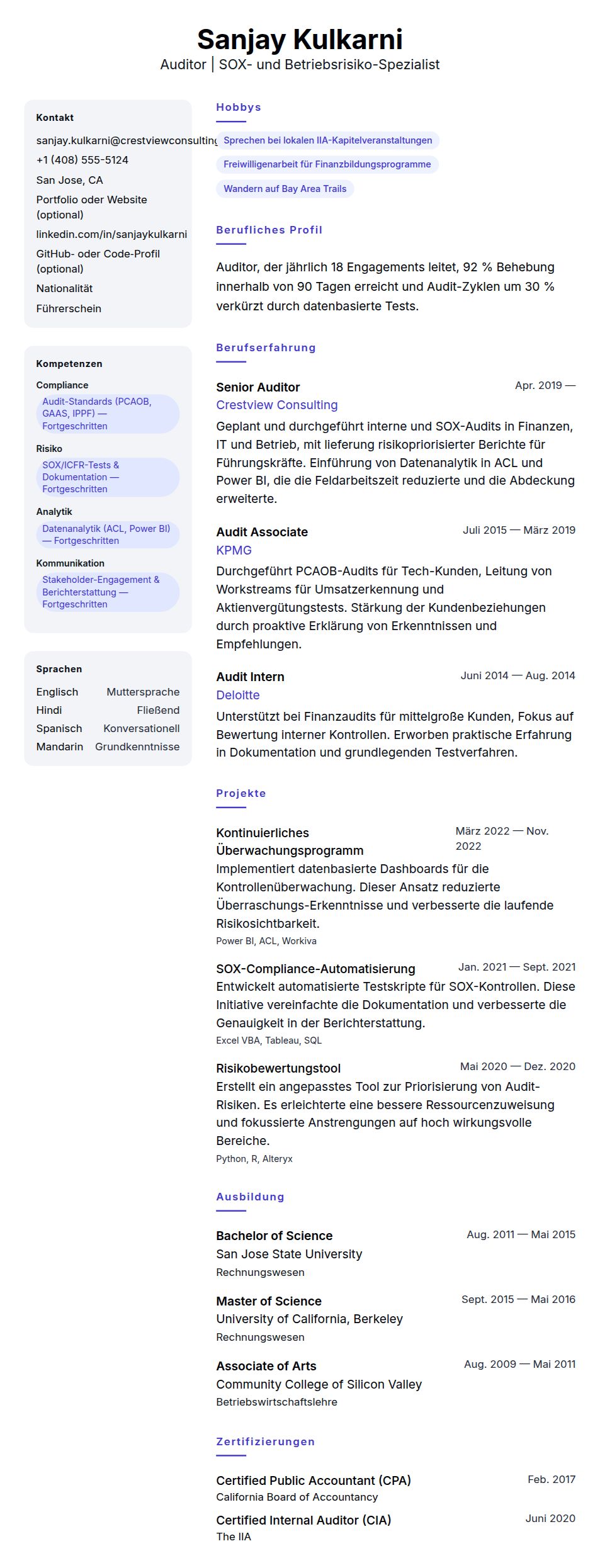 Lebenslaufvorschau für Auditor Lebenslauf Beispiel