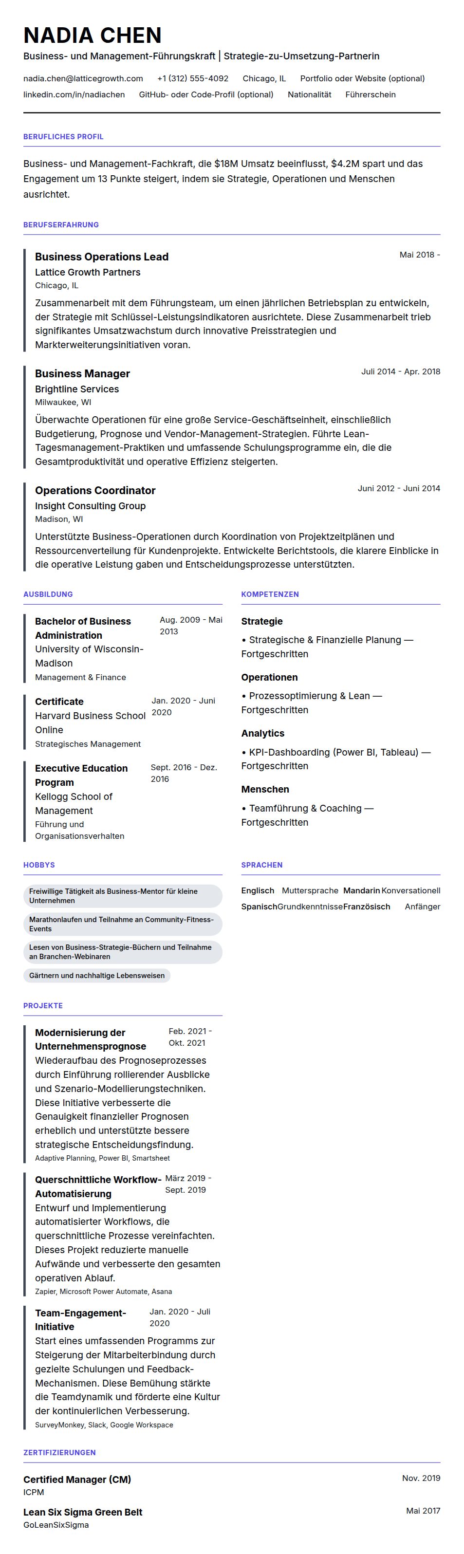 Lebenslaufvorschau für Business- und Management-Fachkraft Lebenslaufbeispiel