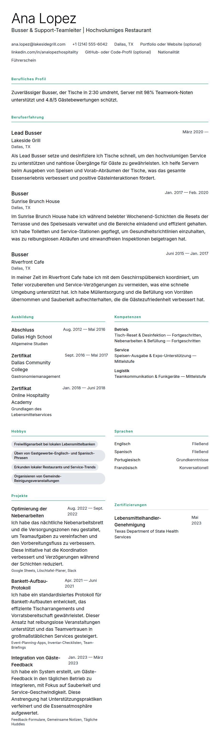 Lebenslaufvorschau für Busser-Lebenslauf-Beispiel