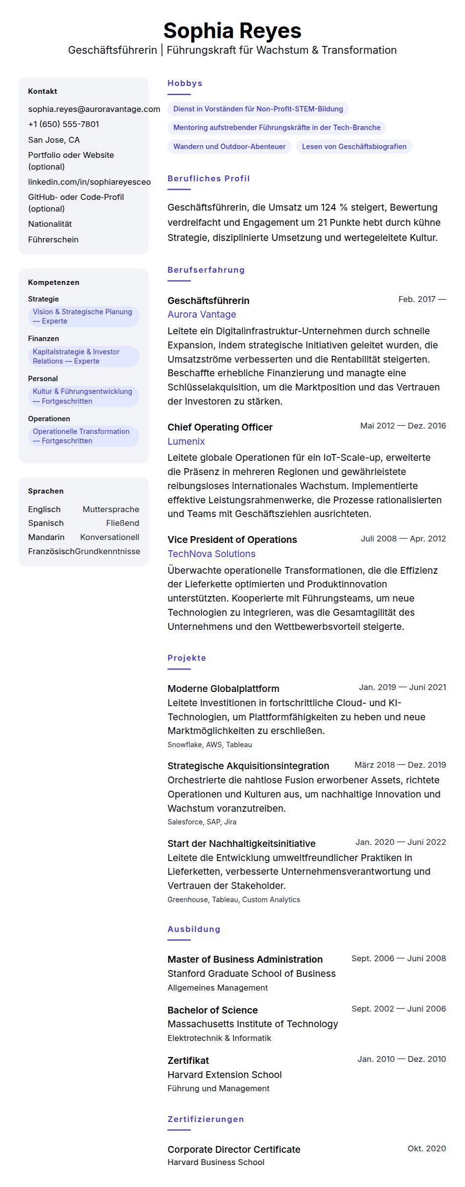 Lebenslaufvorschau für Lebenslaufbeispiel für einen Geschäftsführer