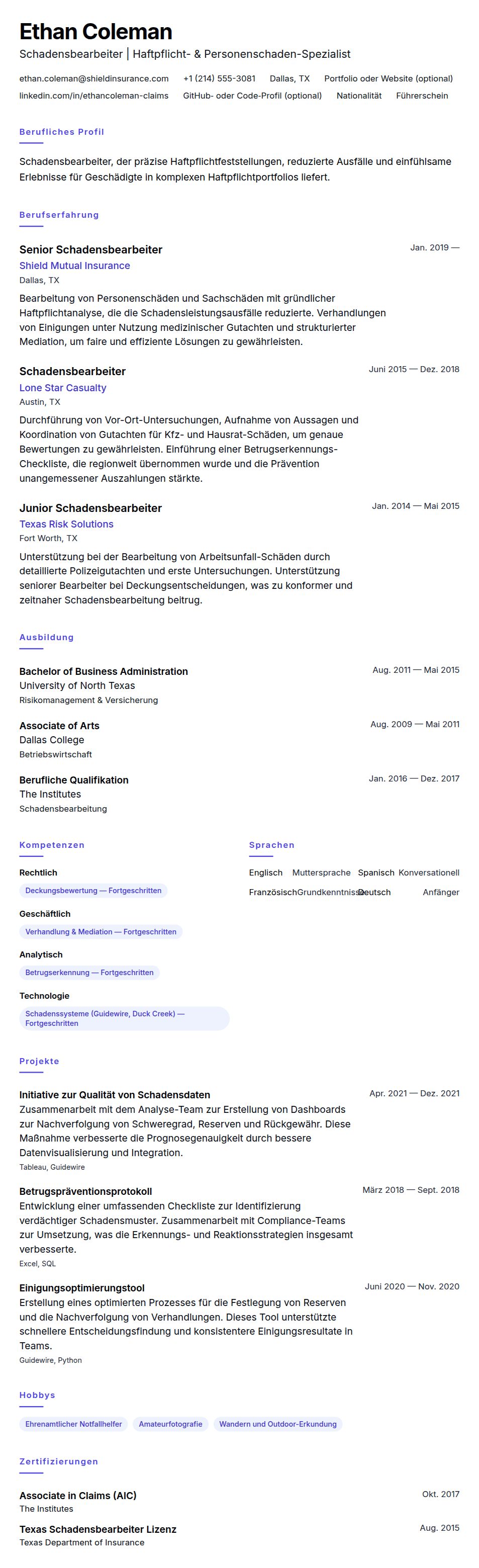 Schadensbearbeiter Lebenslauf-Beispiel