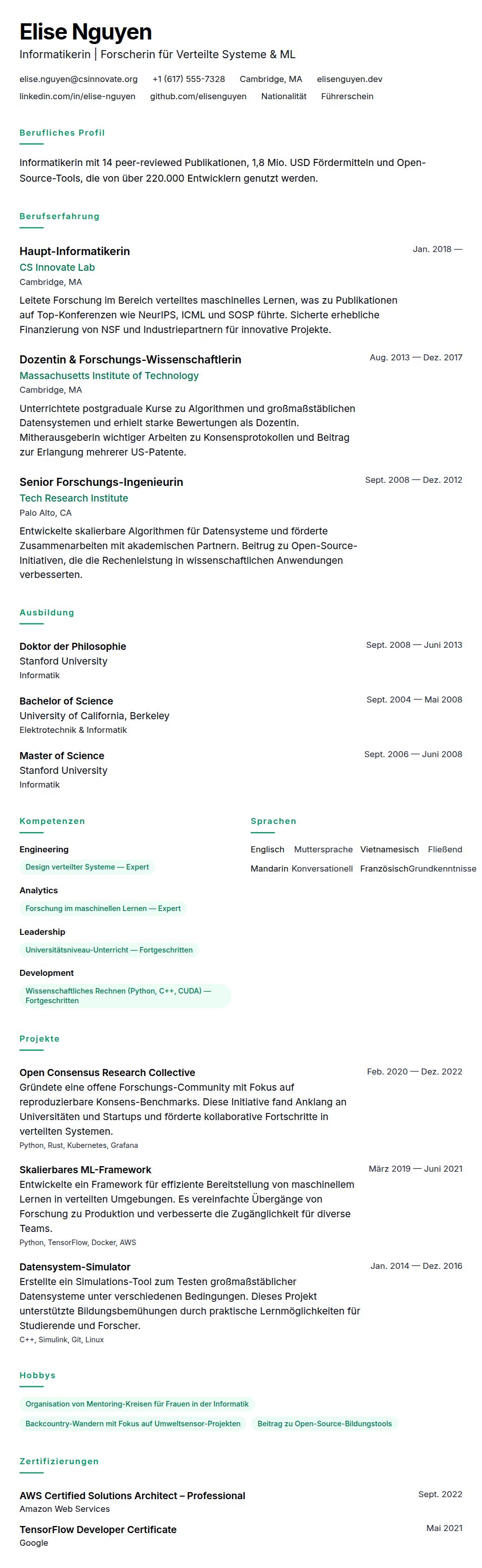 Lebenslauf-Beispiel für Informatik-Experten